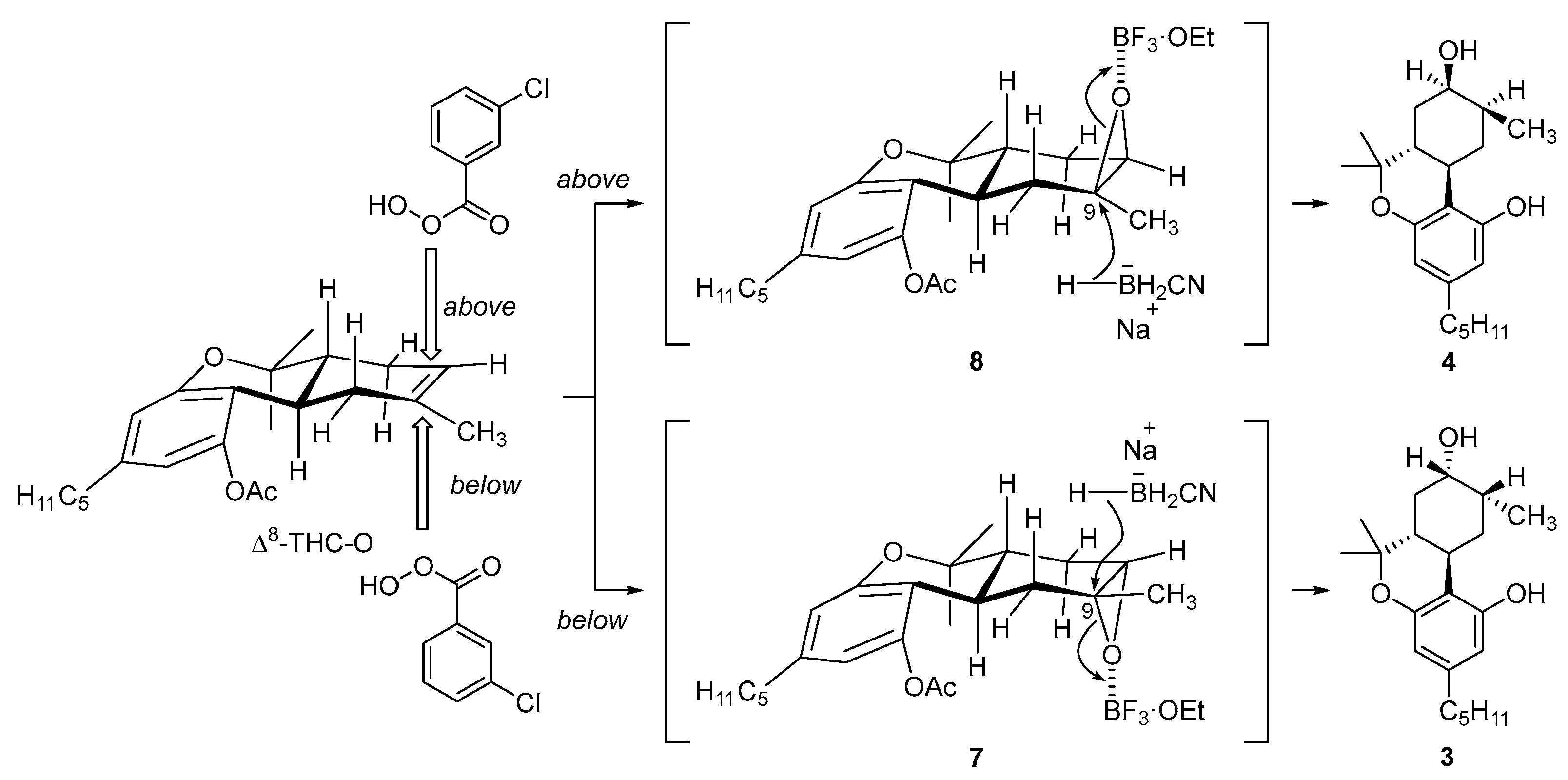 Molecules 31 00289 sch004