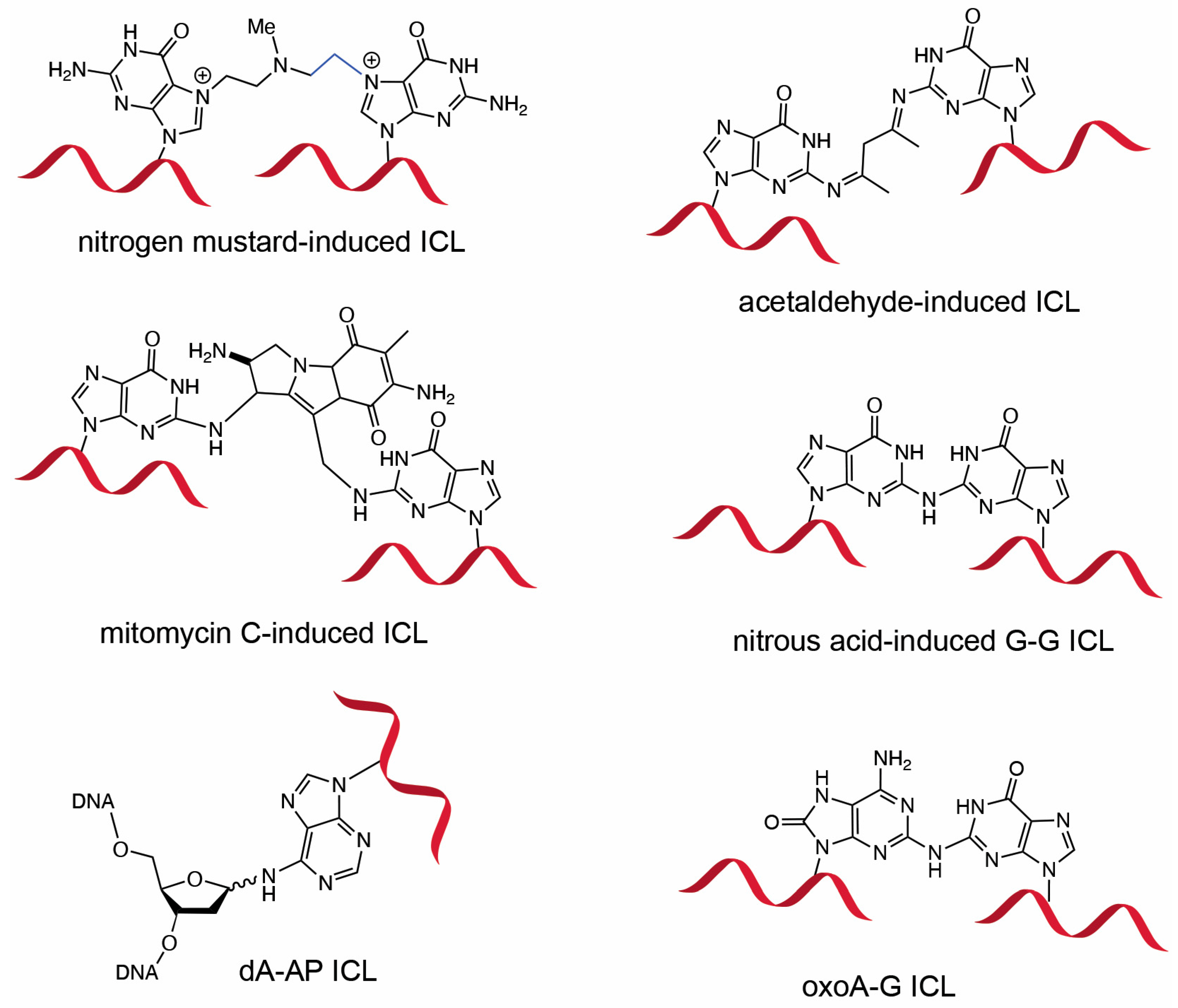 Molecules 31 00291 g001 Molecules 31 00291 g001