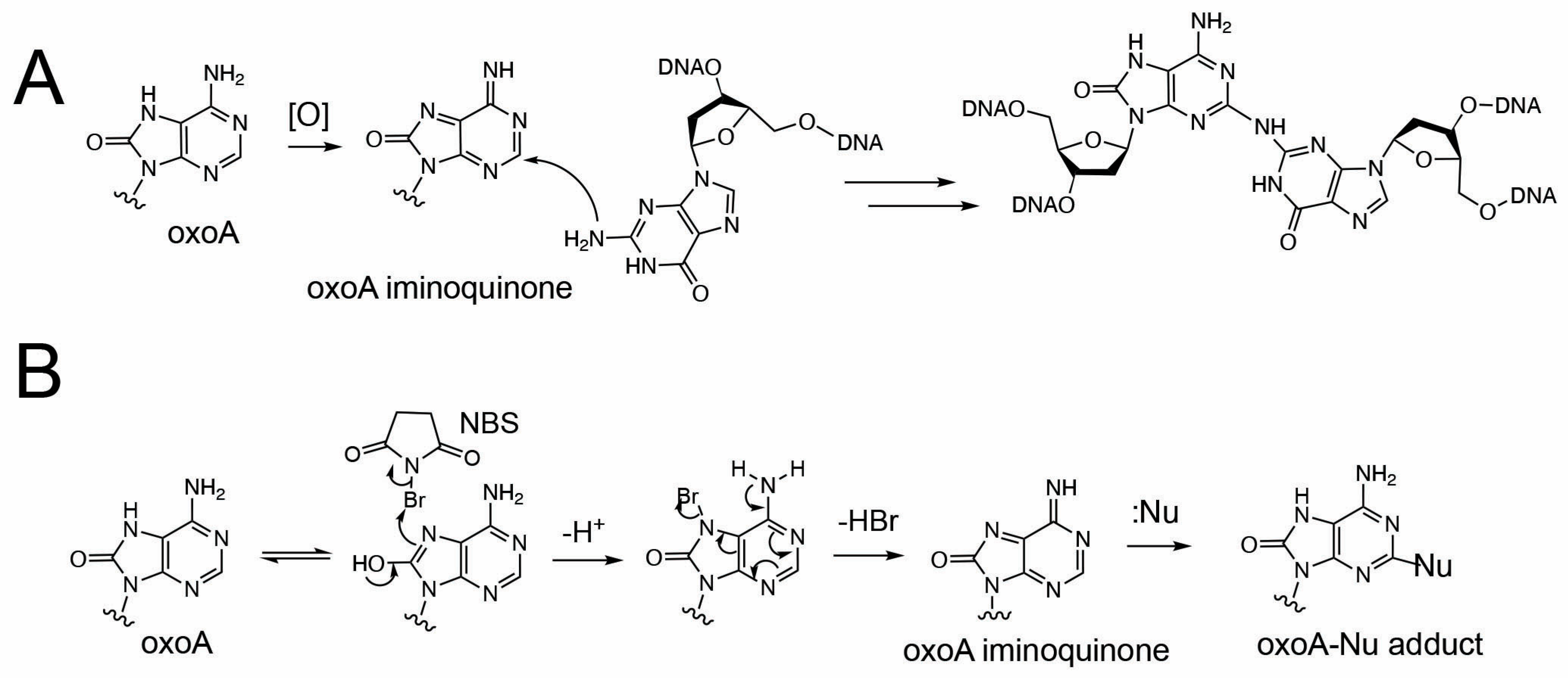 Molecules 31 00291 g002 Molecules 31 00291 g002