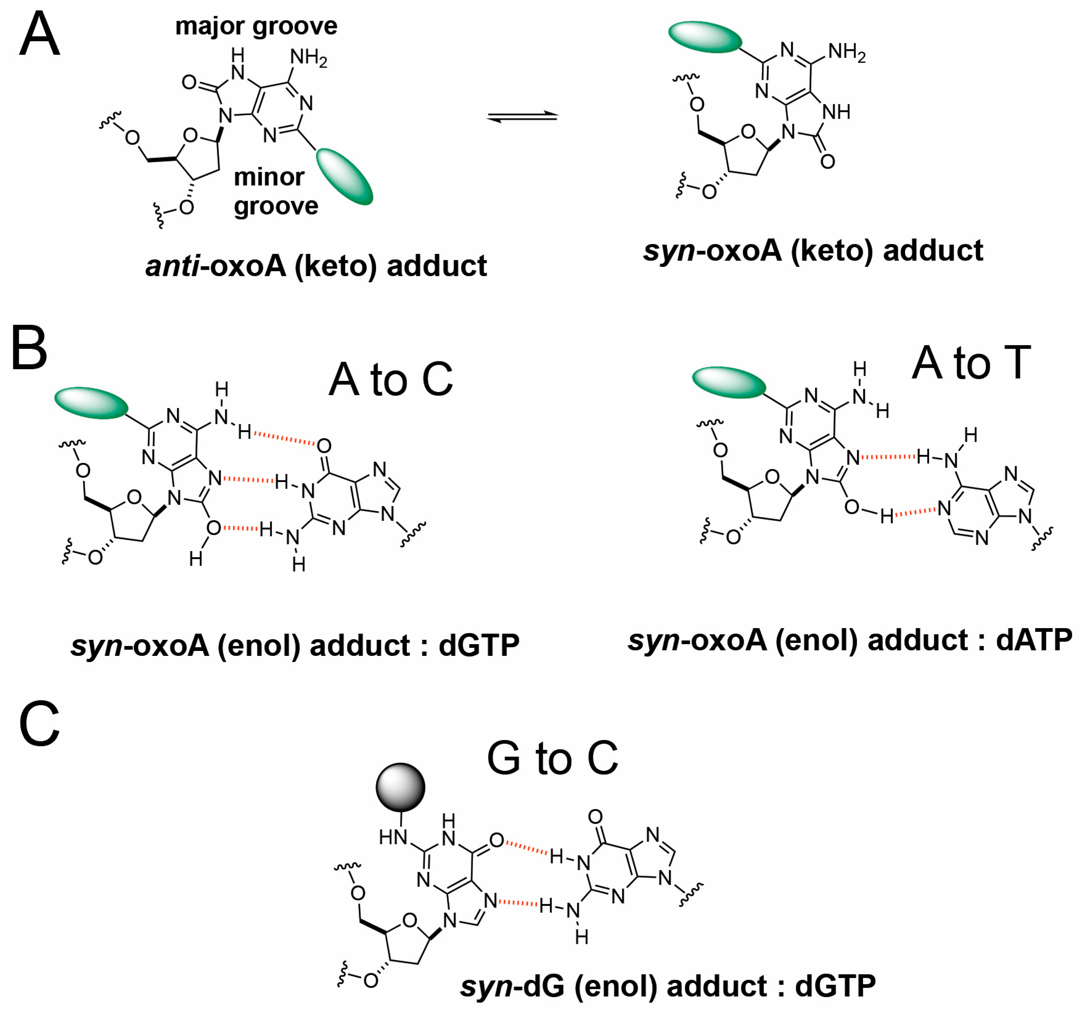 Molecules 31 00291 g005 Molecules 31 00291 g005