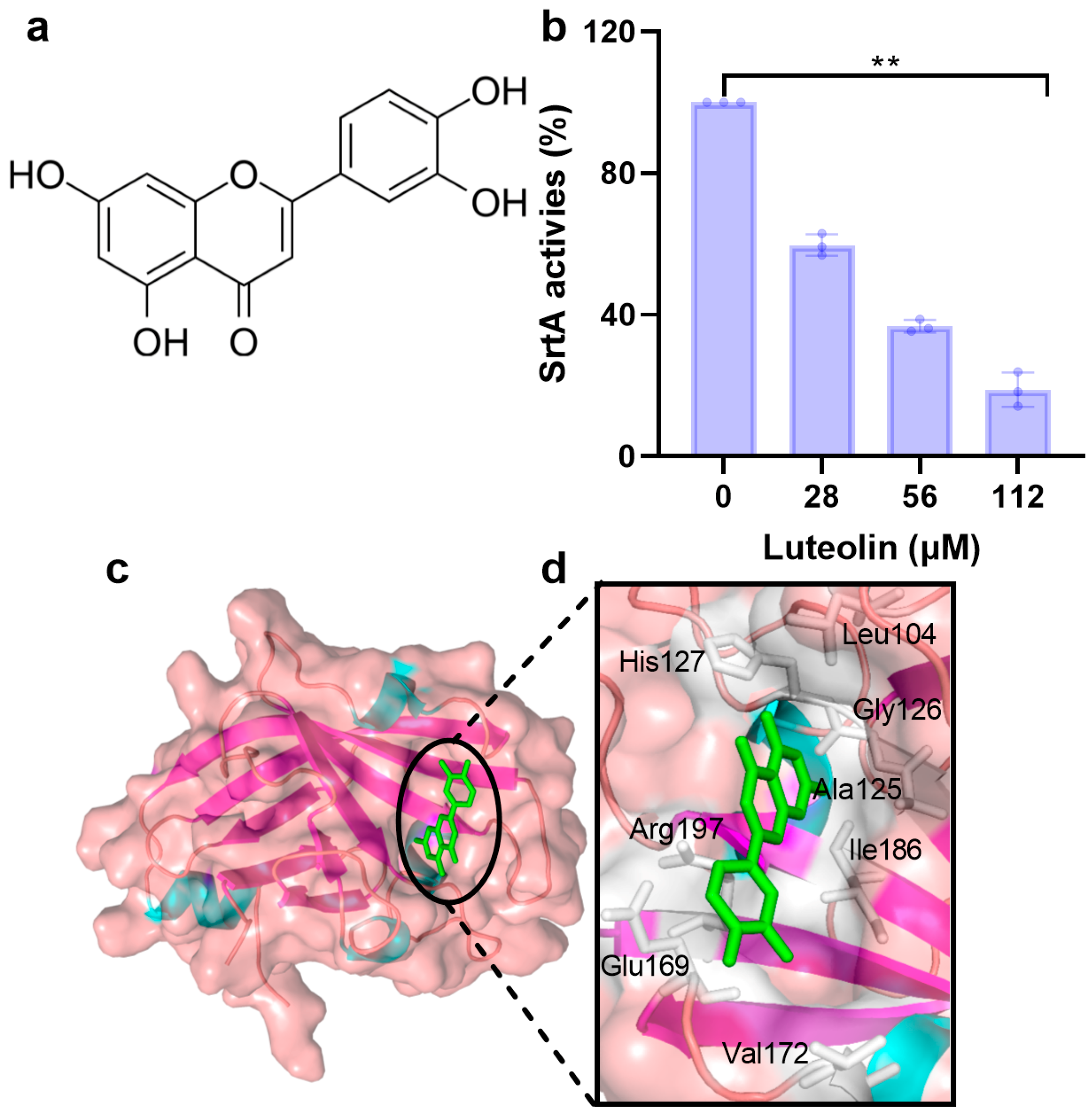 Molecules 31 00297 g001 Molecules 31 00297 g001