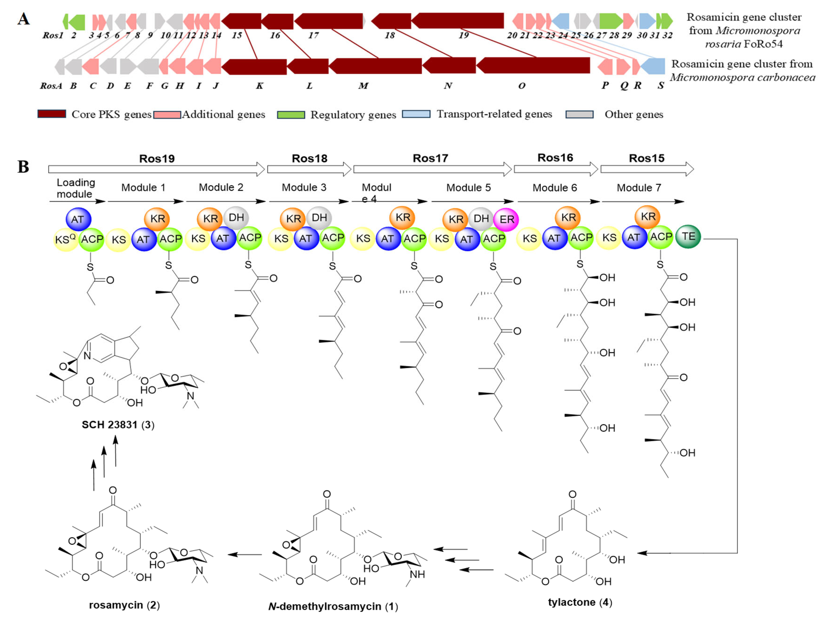 Molecules 31 00301 g005 Molecules 31 00301 g005