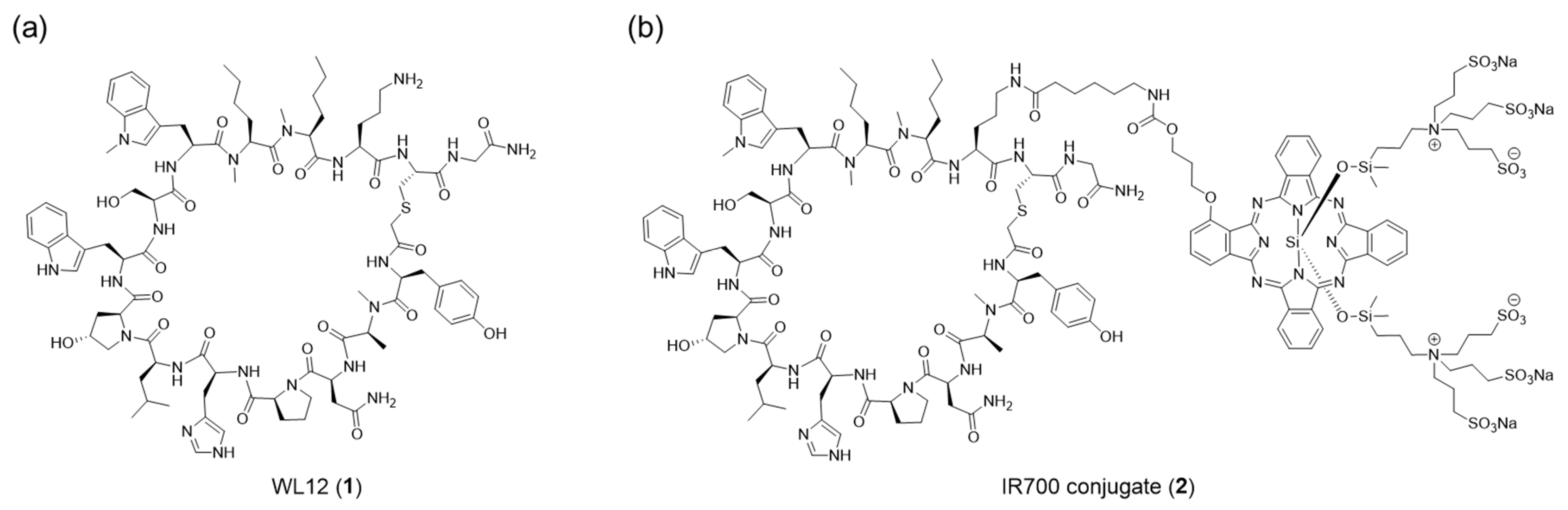 Molecules 31 00302 g001 Molecules 31 00302 g001