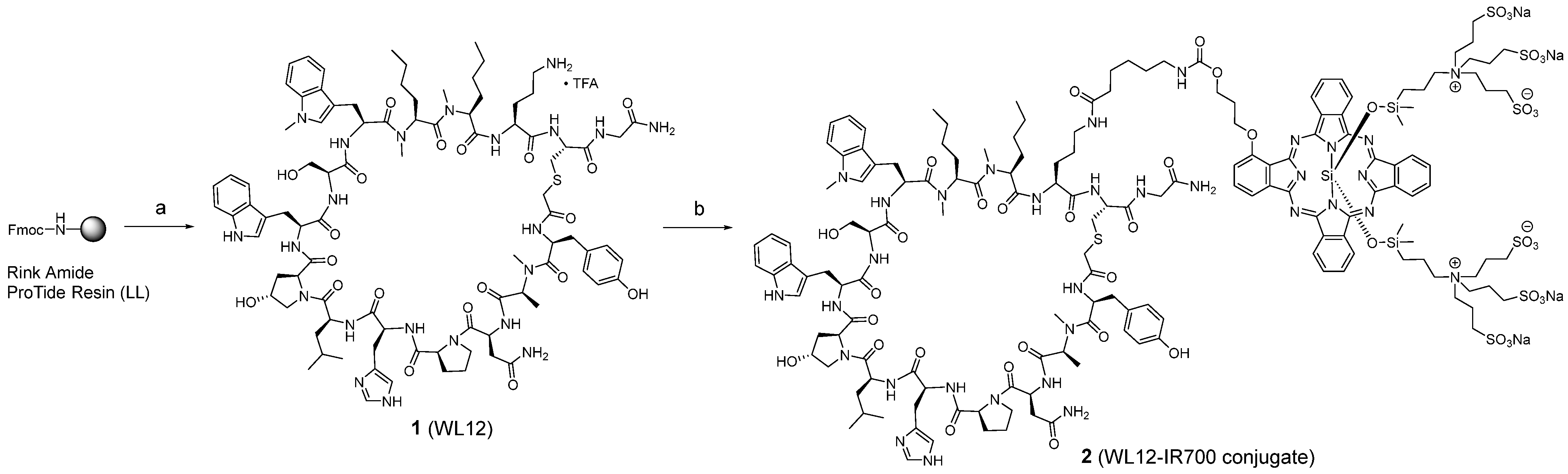 Molecules 31 00302 sch001 Molecules 31 00302 sch001