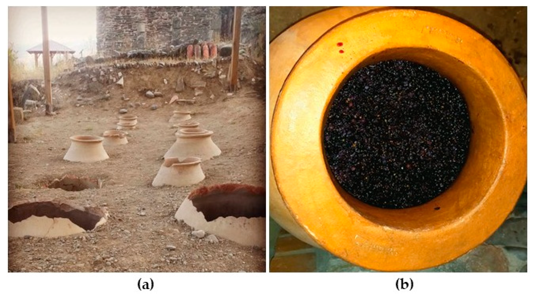 Molecules 31 00303 g004