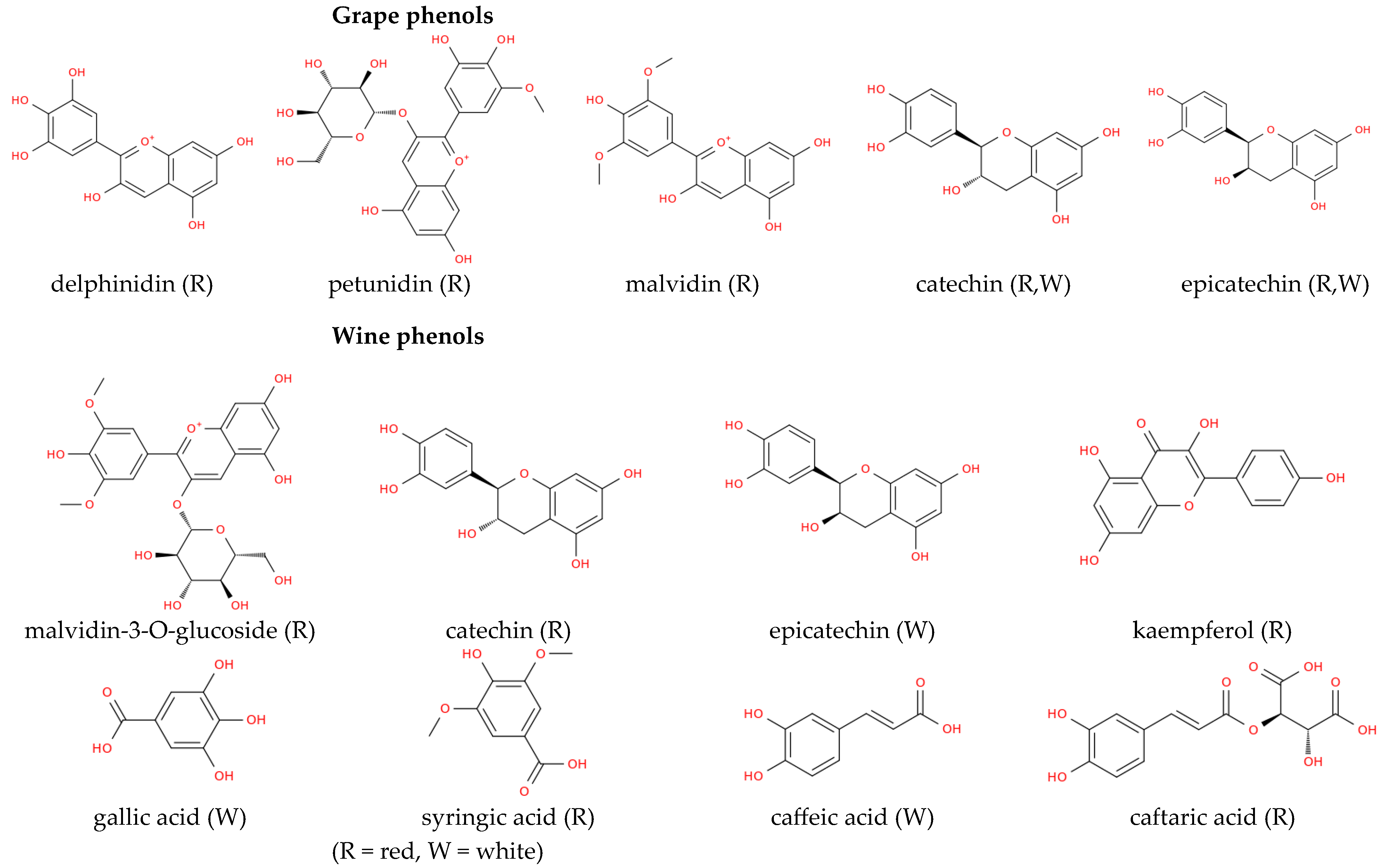 Molecules 31 00303 sch001