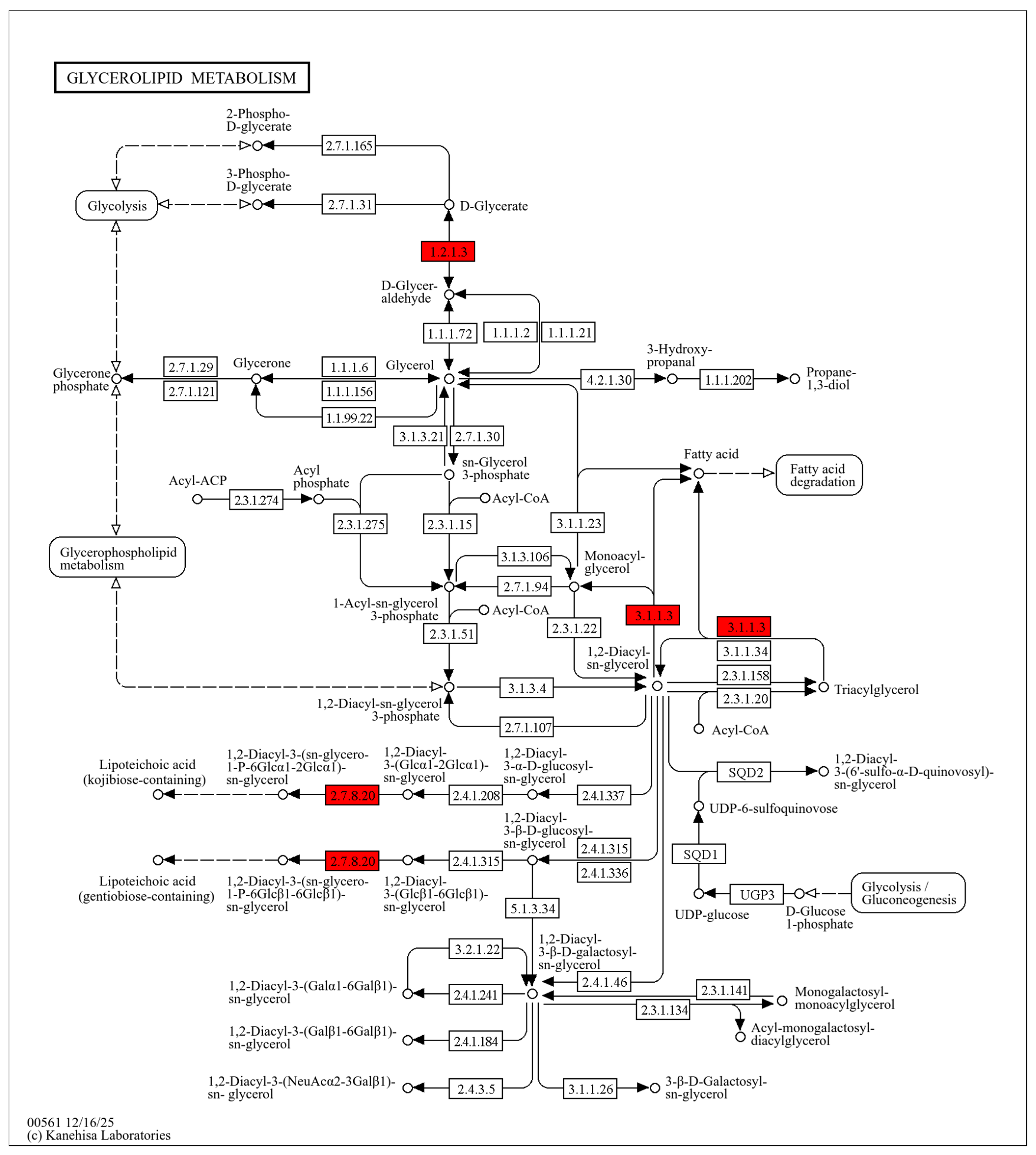 Molecules 31 00313 g004