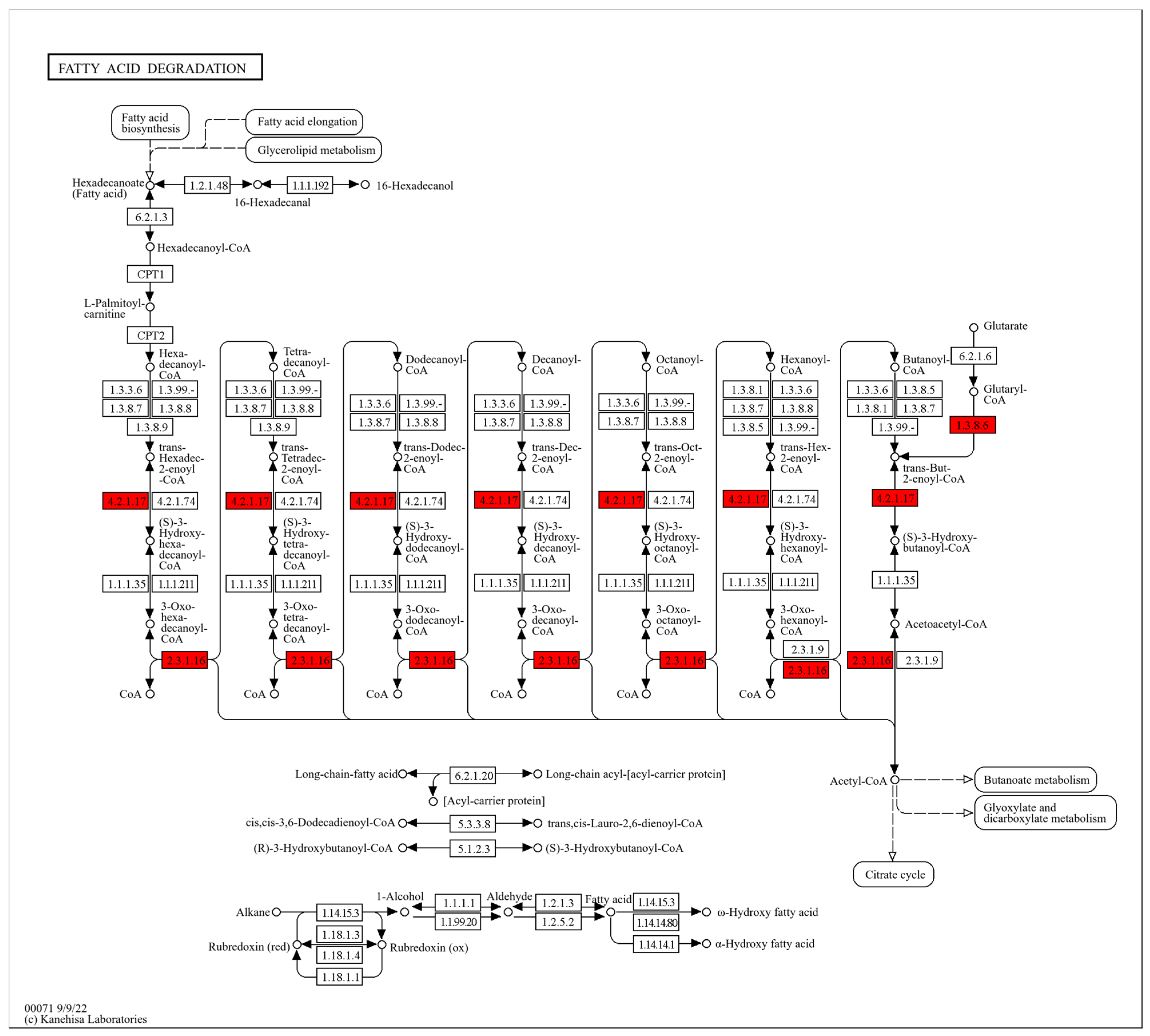 Molecules 31 00313 g005