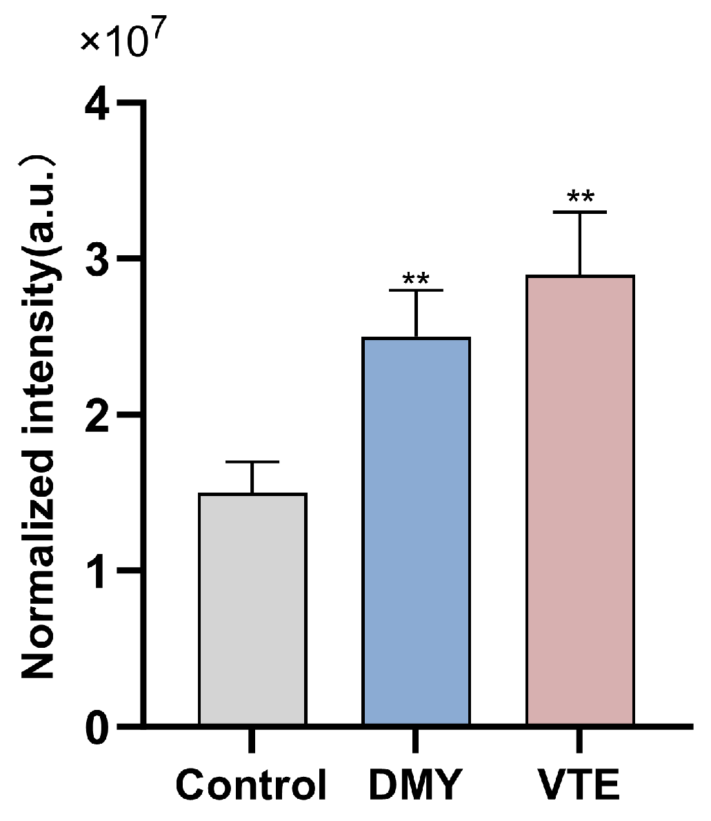 Molecules 31 00313 g009