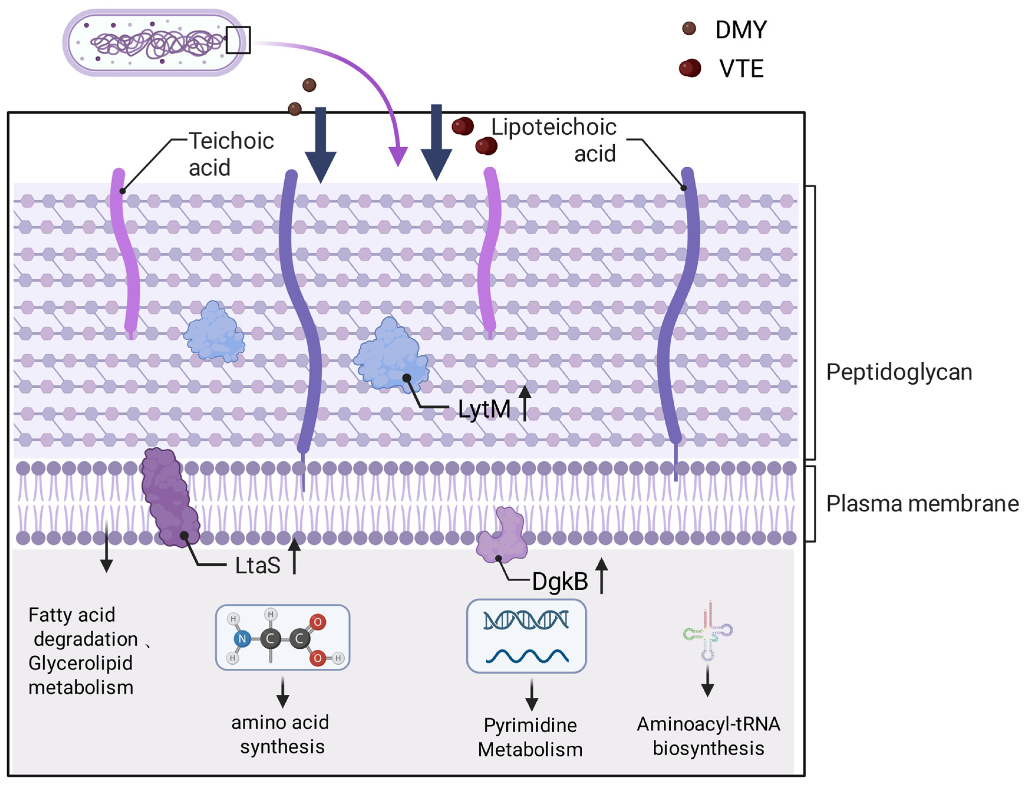 Molecules 31 00313 g012
