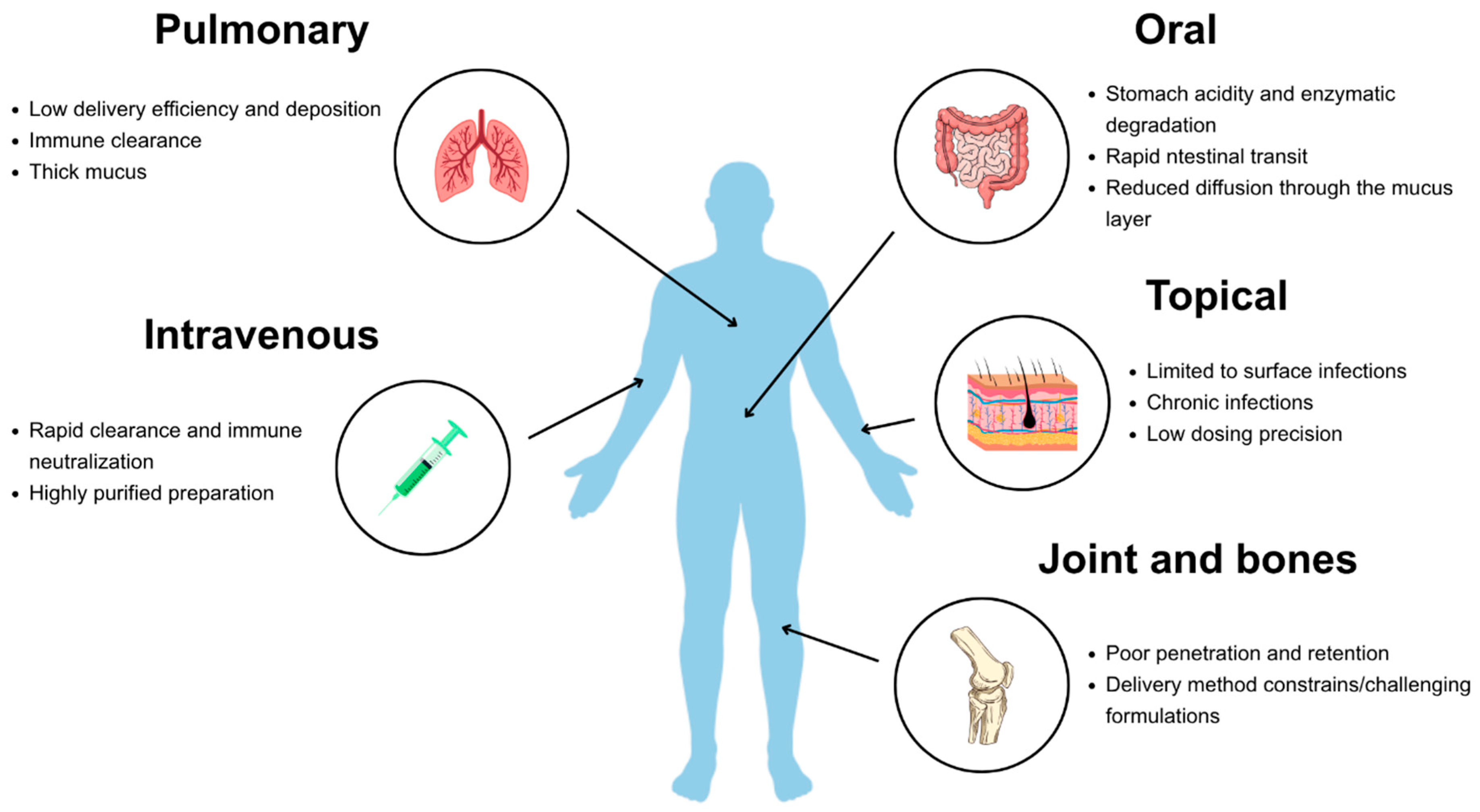 Molecules 31 00324 g001