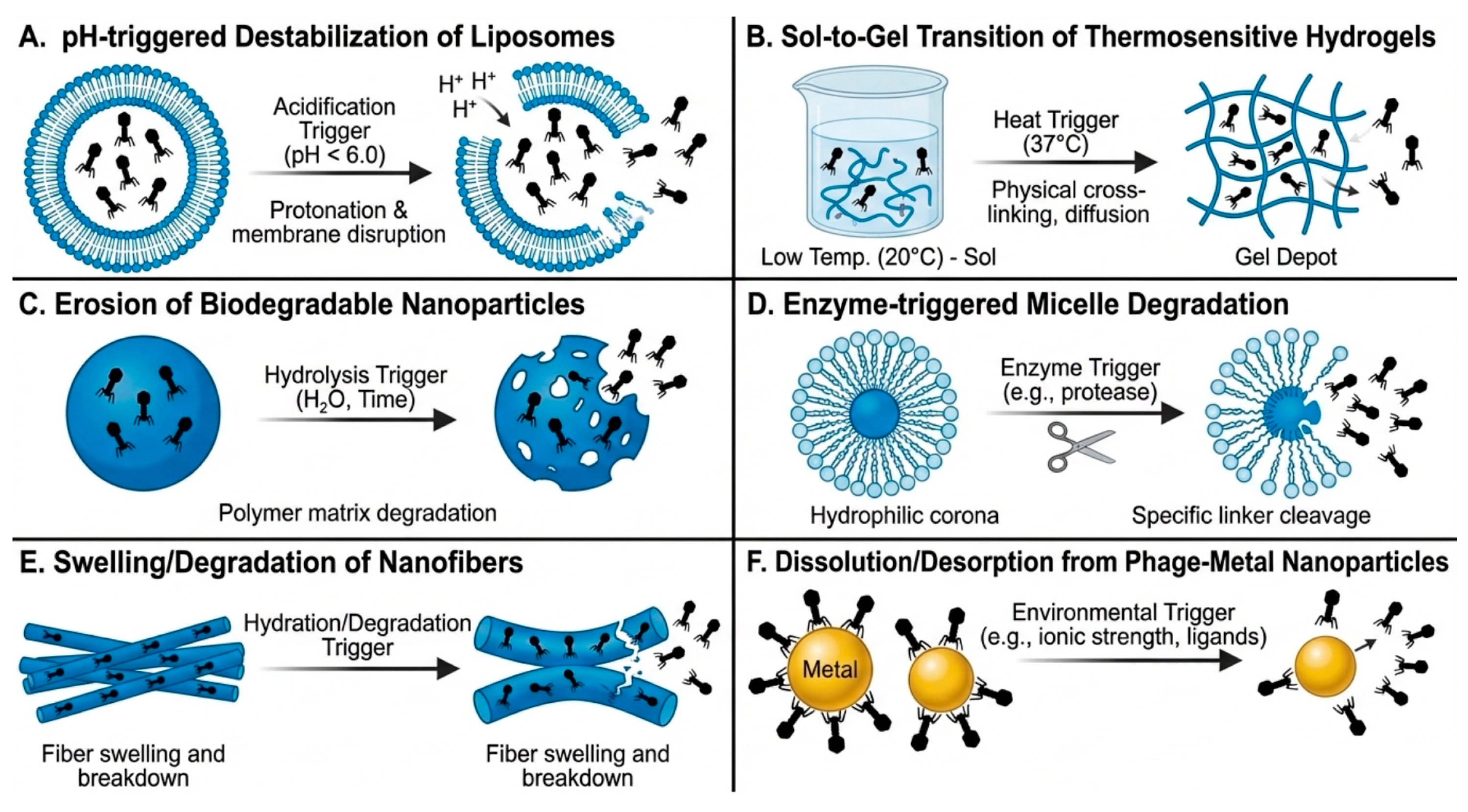 Molecules 31 00324 g002