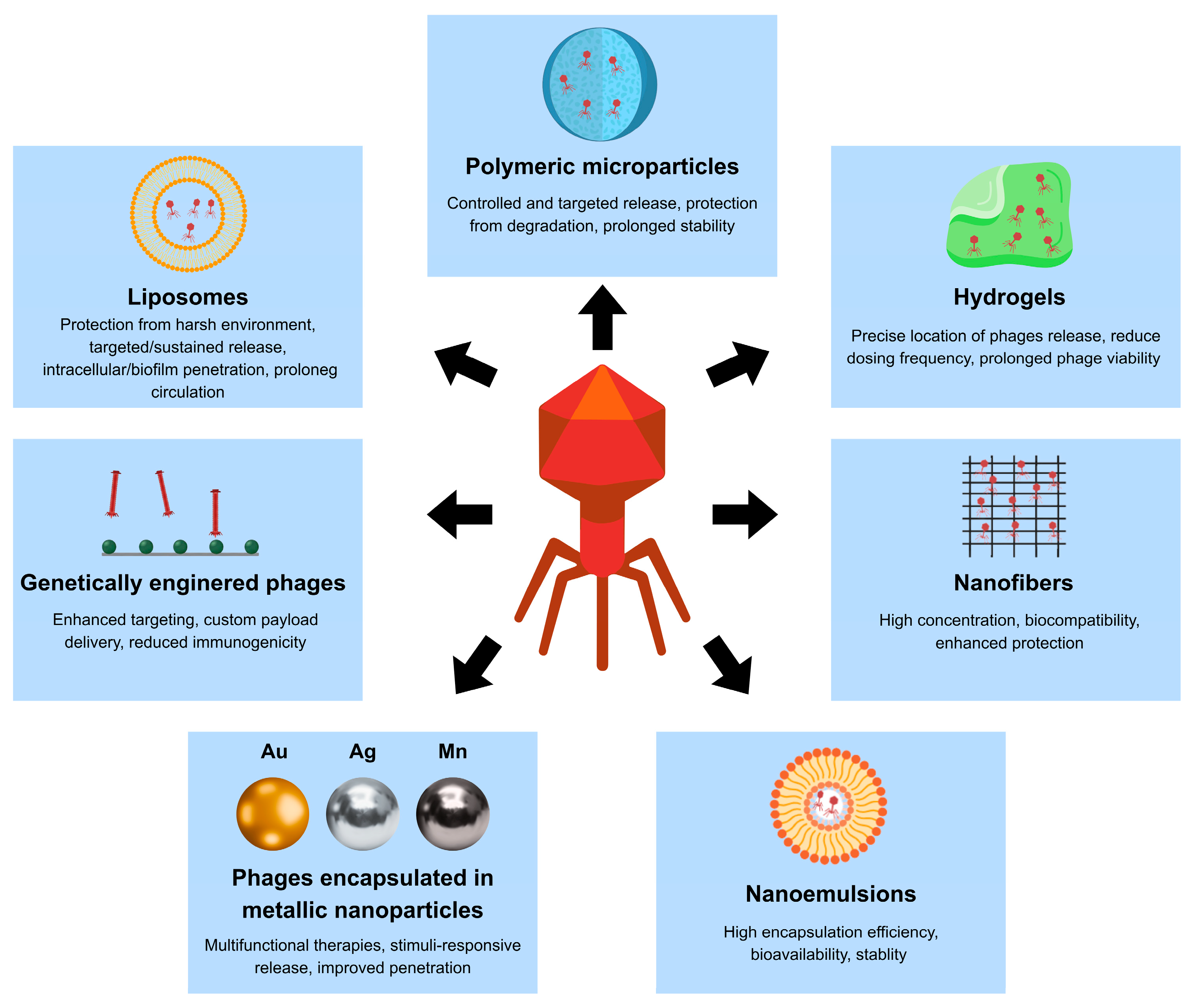 Molecules 31 00324 g003