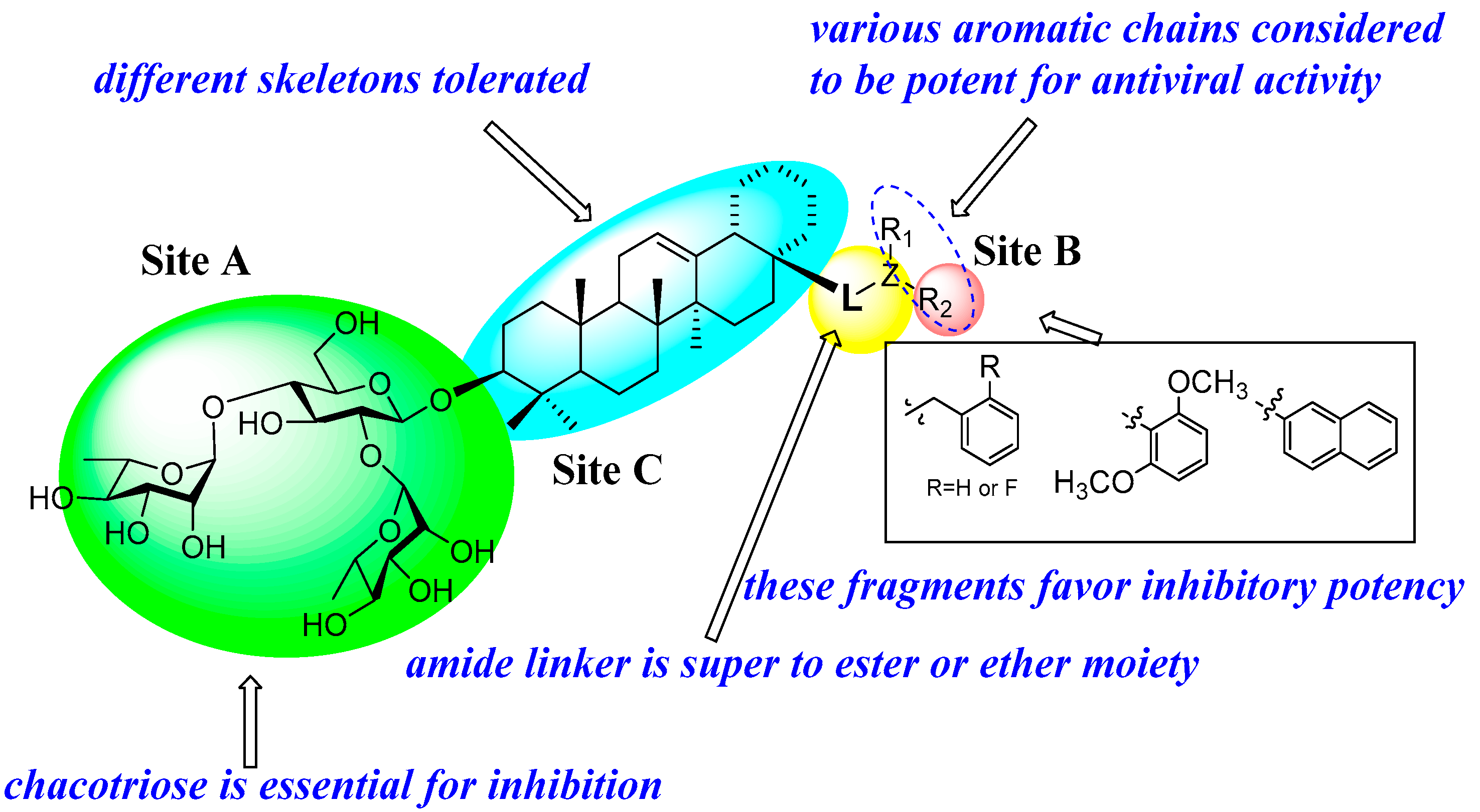 Molecules 31 00325 g006 Molecules 31 00325 g006