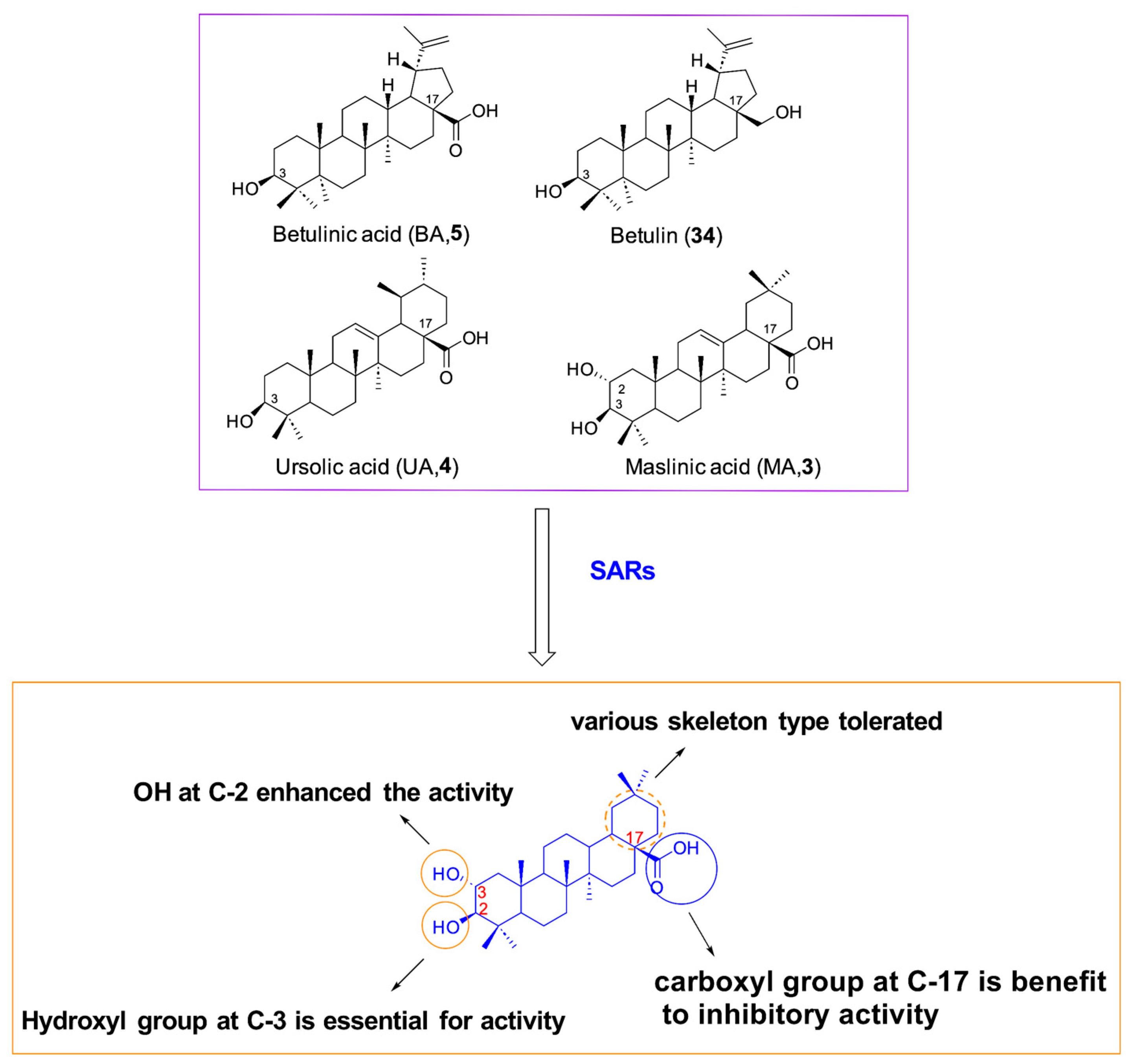 Molecules 31 00325 g009 Molecules 31 00325 g009