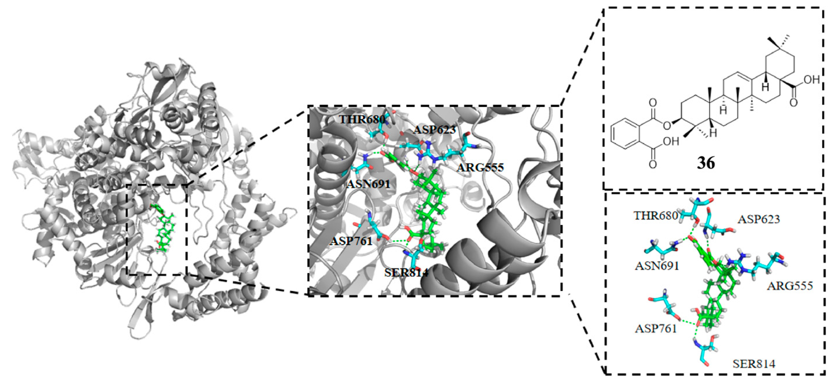 Molecules 31 00325 g011 Molecules 31 00325 g011