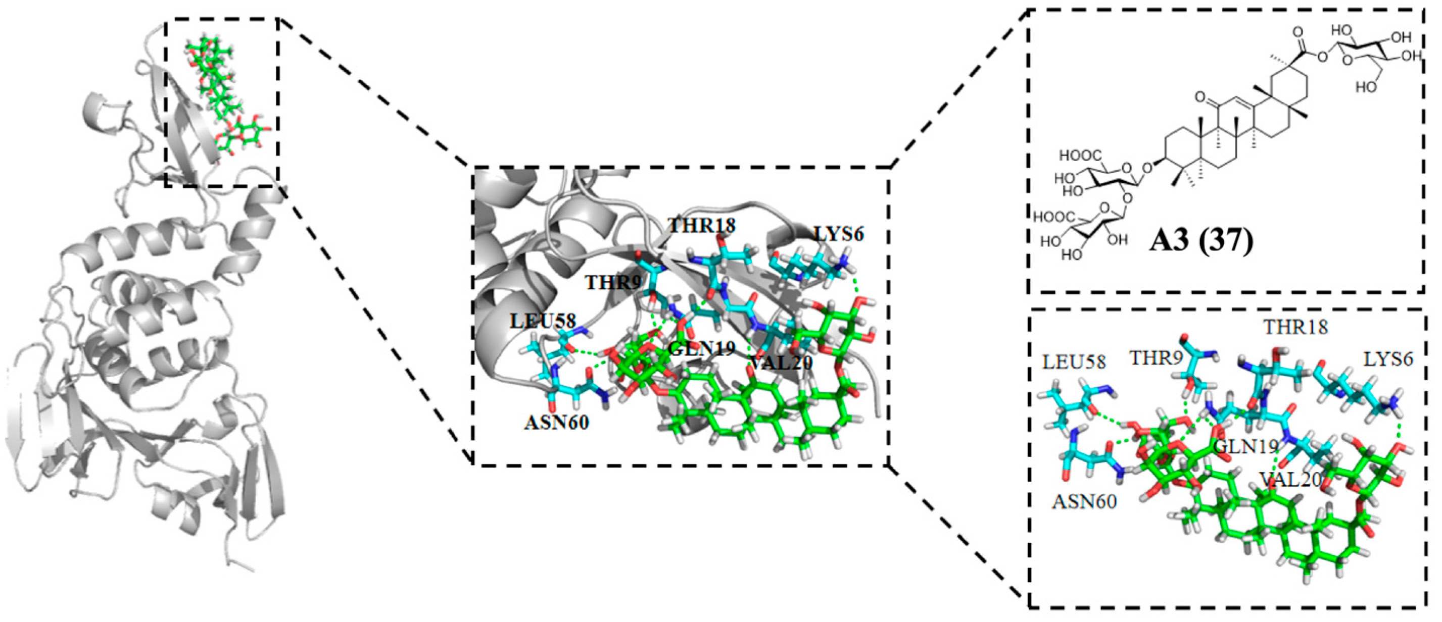 Molecules 31 00325 g012 Molecules 31 00325 g012
