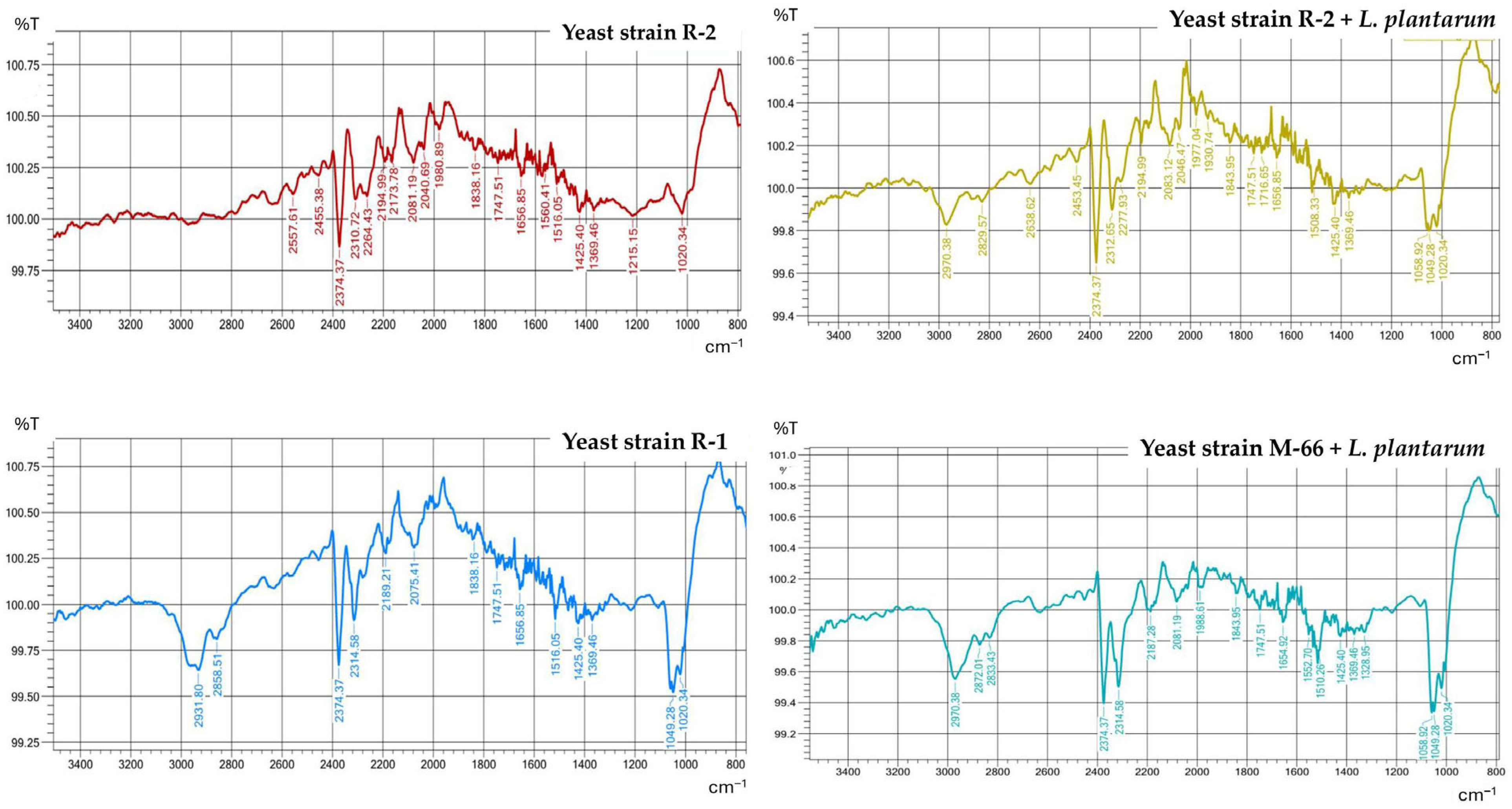 Molecules 31 00329 g002