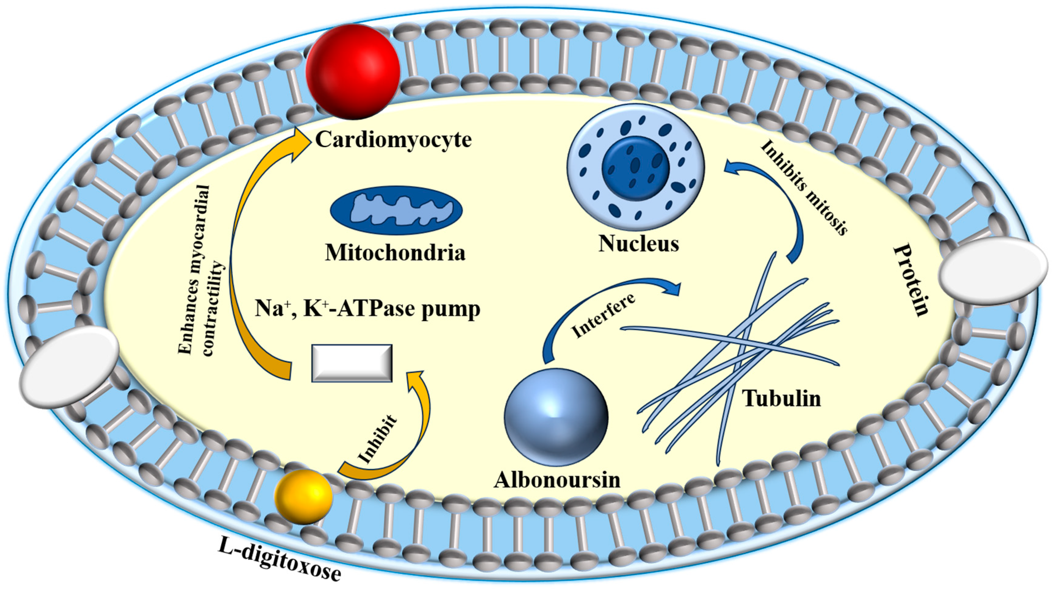 Molecules 31 00330 g002