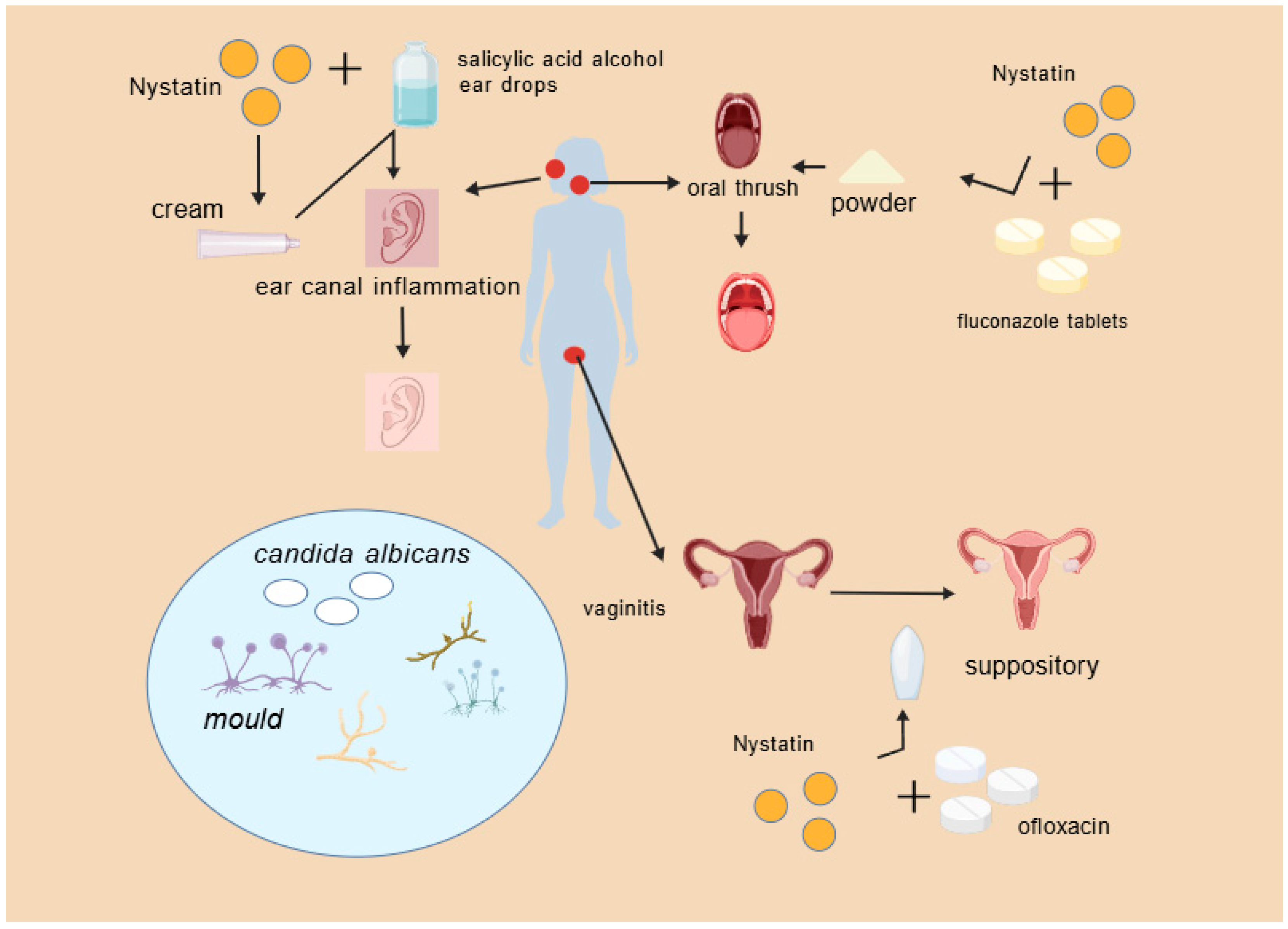 Molecules 31 00330 g004