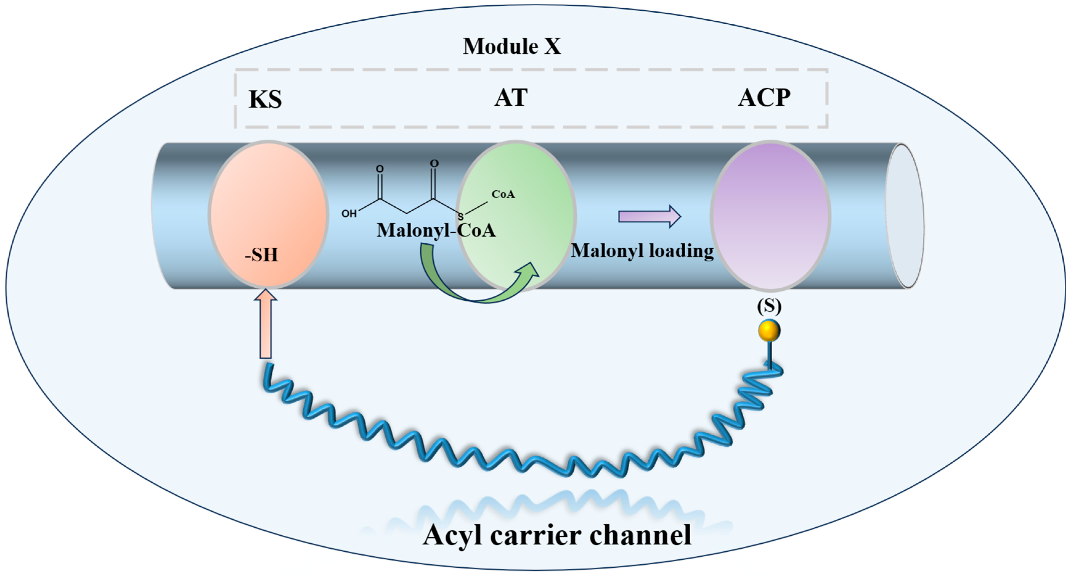Molecules 31 00330 g005