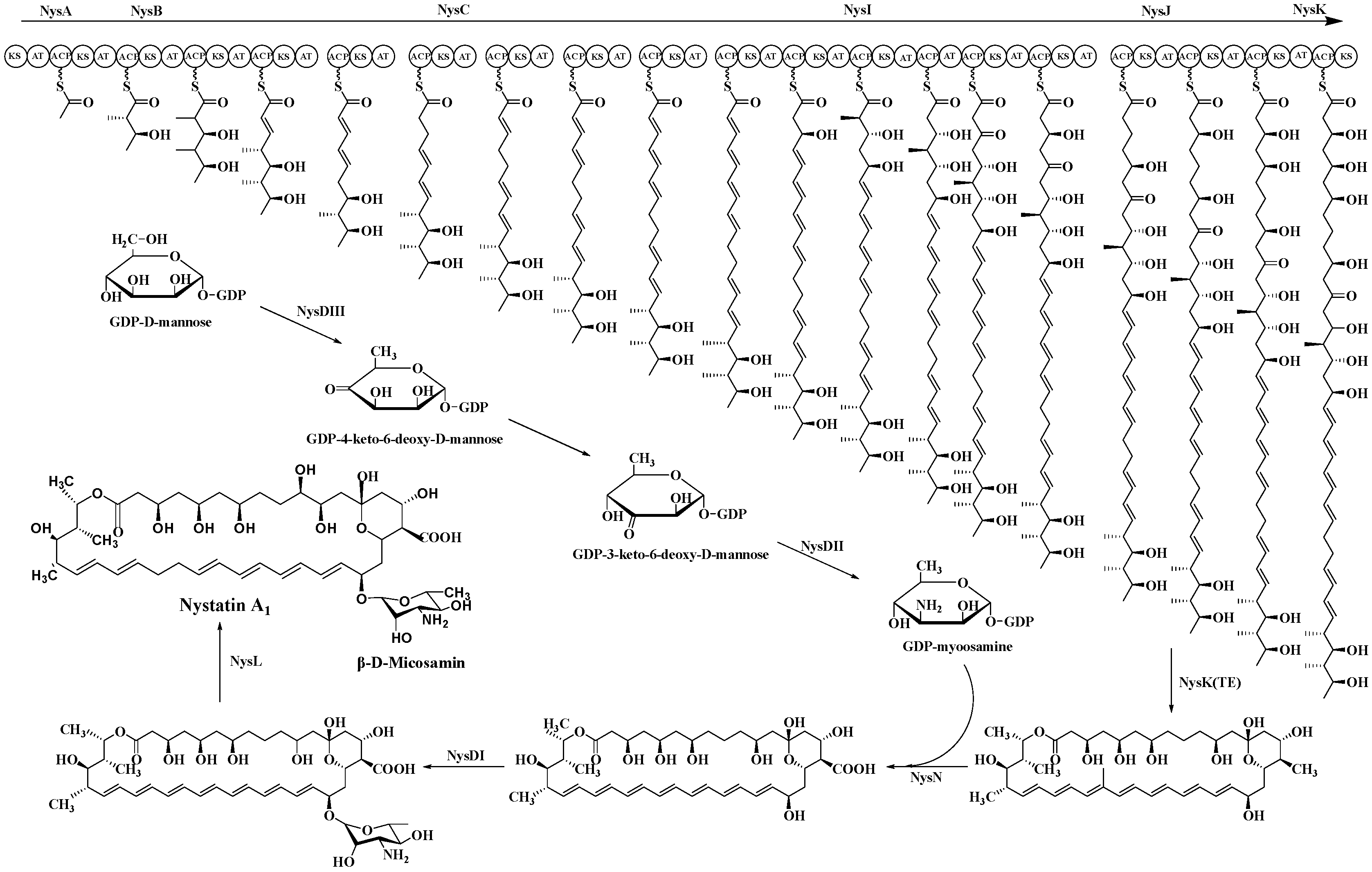 Molecules 31 00330 g006