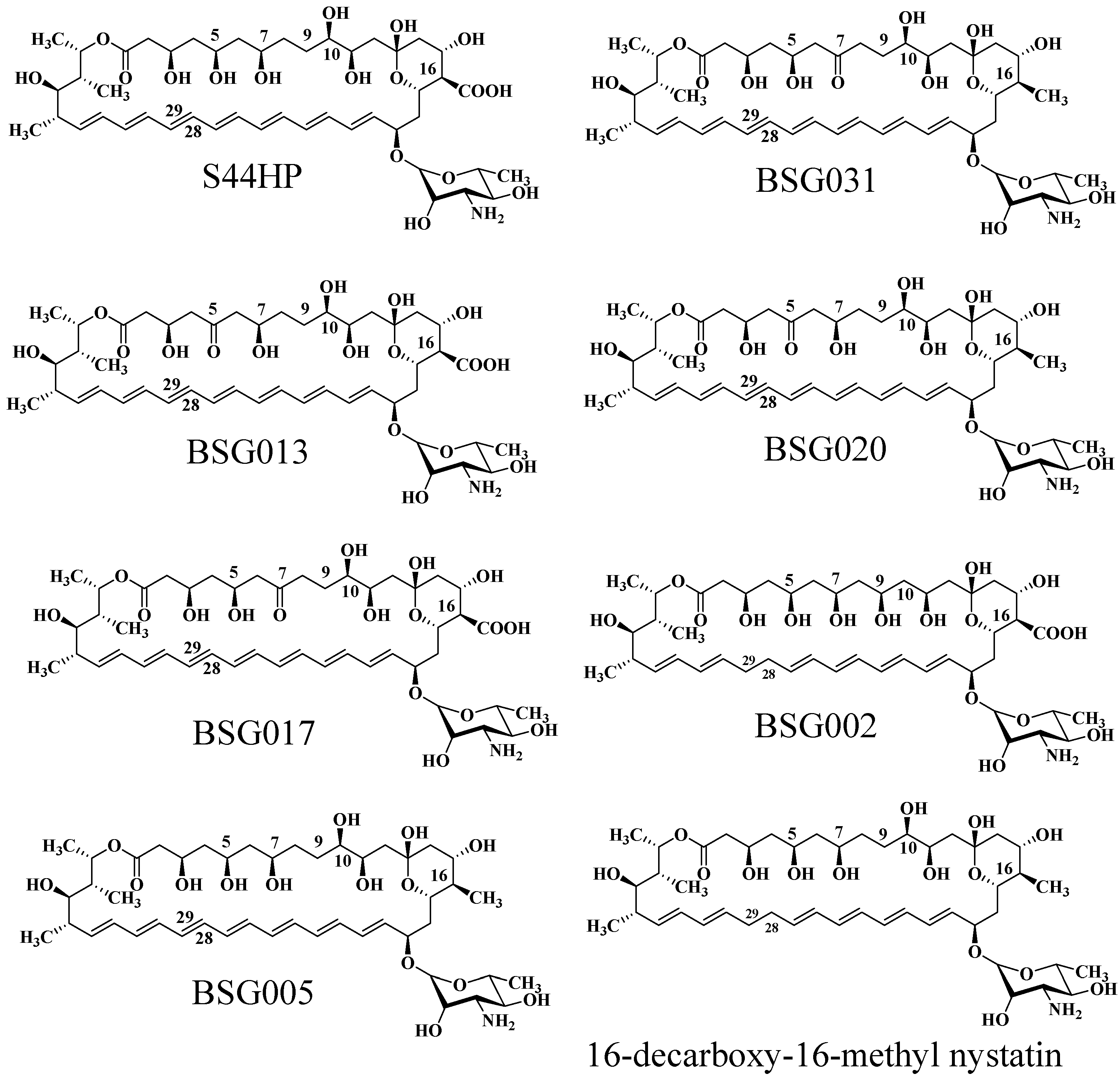 Molecules 31 00330 g007