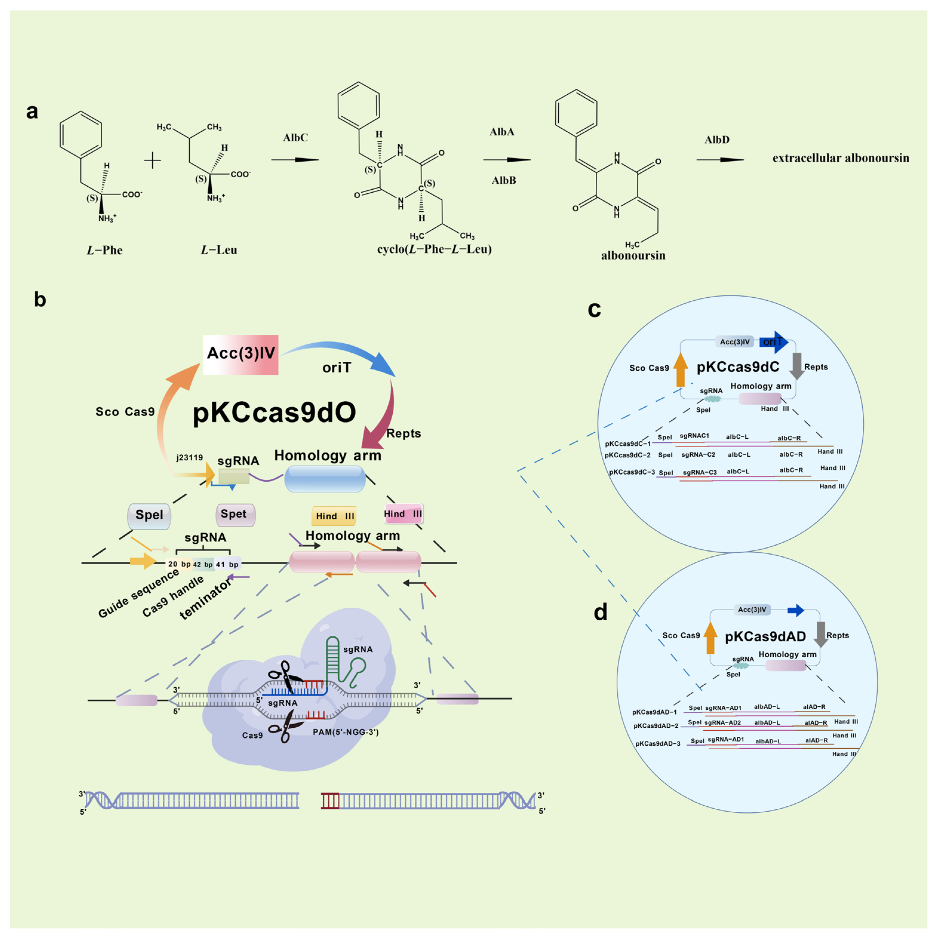 Molecules 31 00330 g008