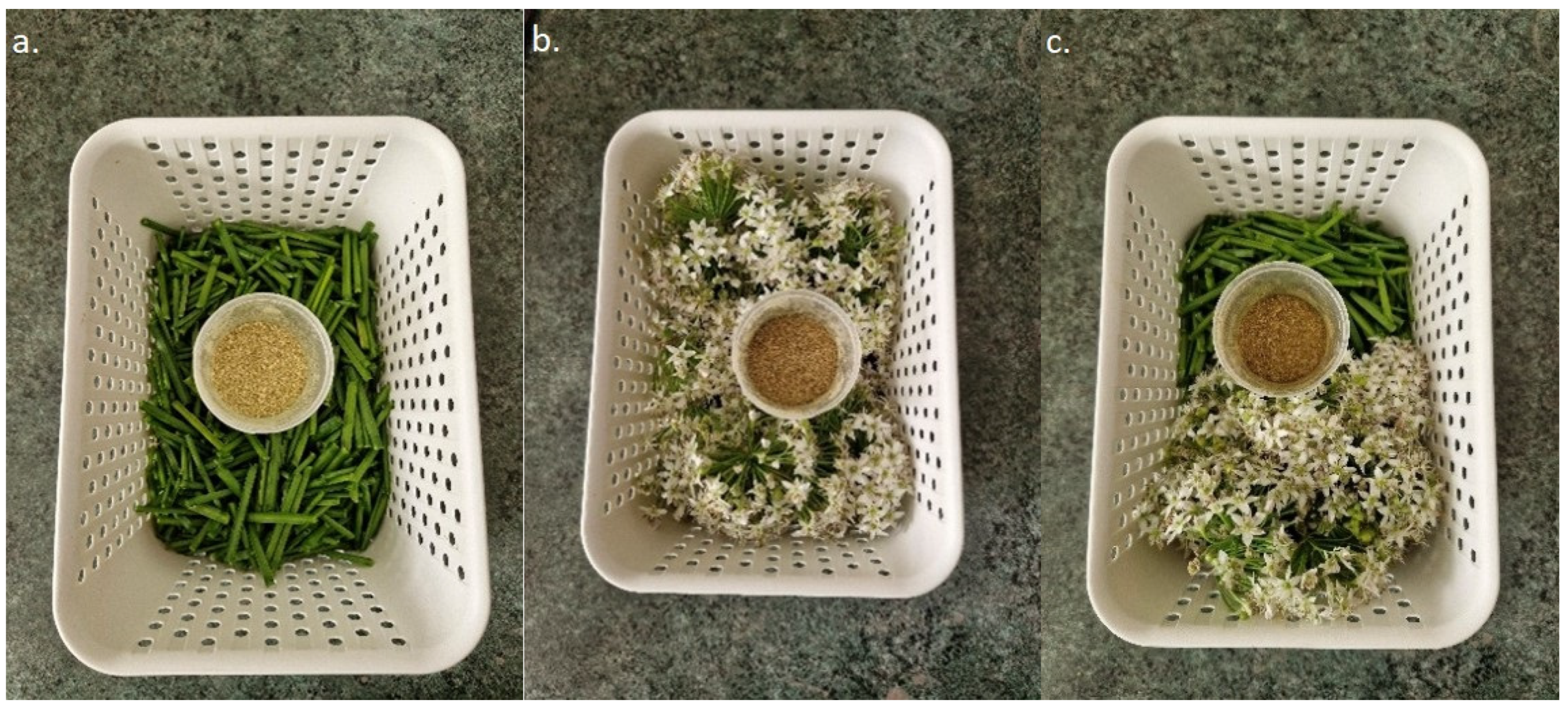 Molecules 31 00332 g001