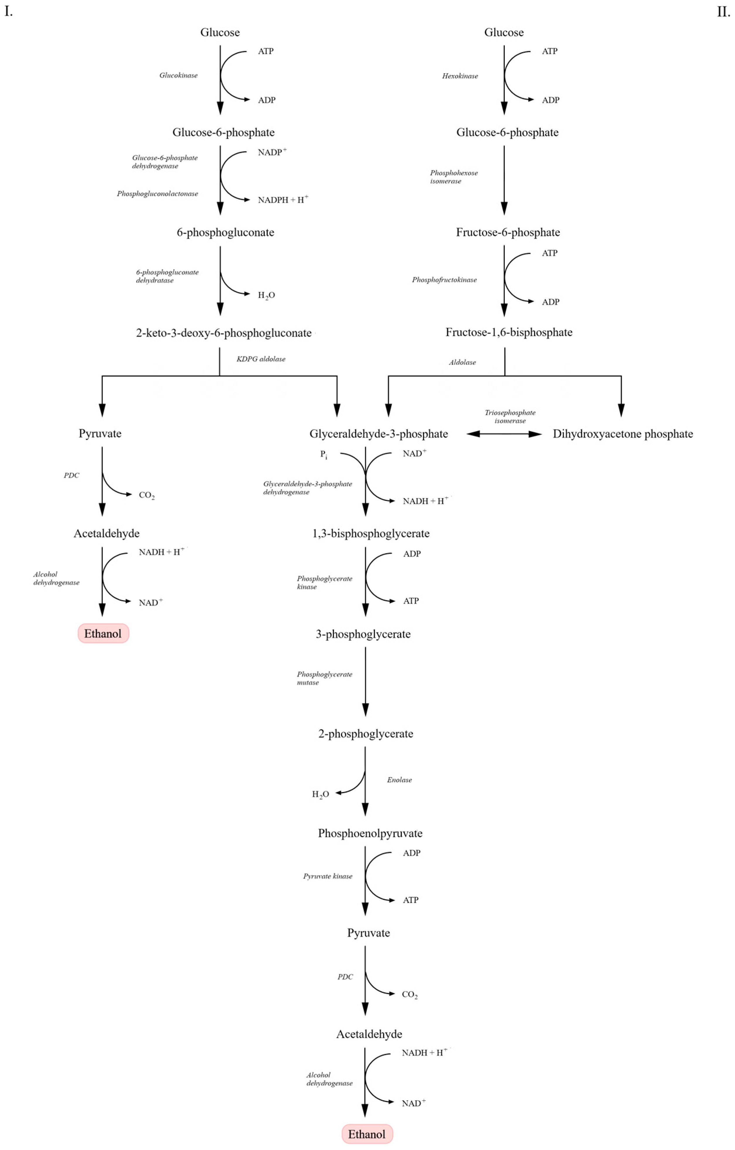 Molecules 31 00333 g001