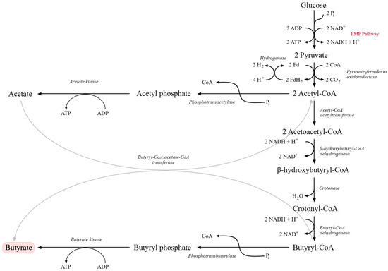 Molecules 31 00333 g003