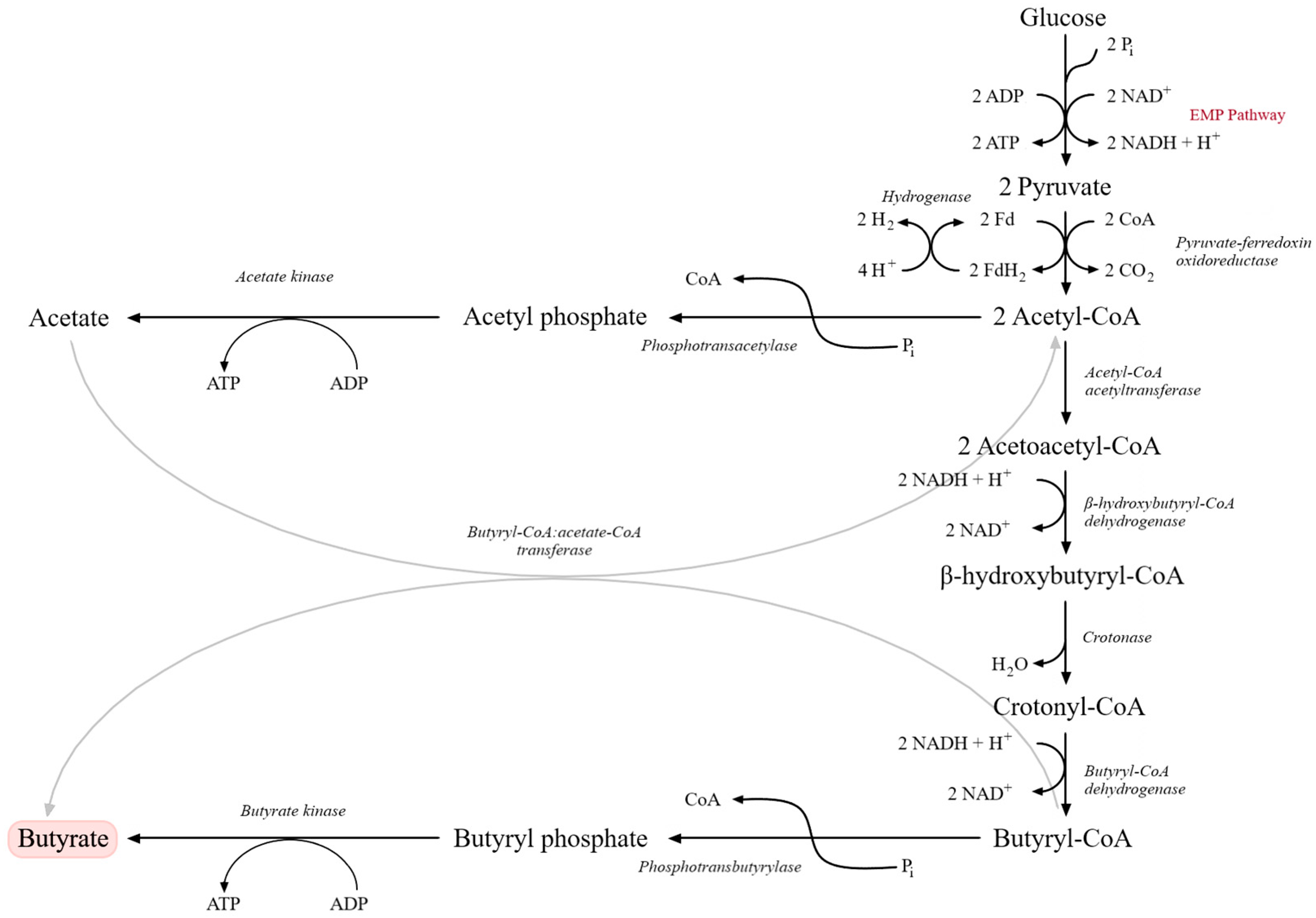 Molecules 31 00333 g003