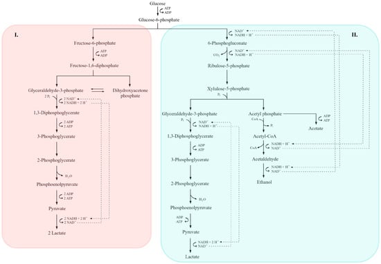 Molecules 31 00333 g004