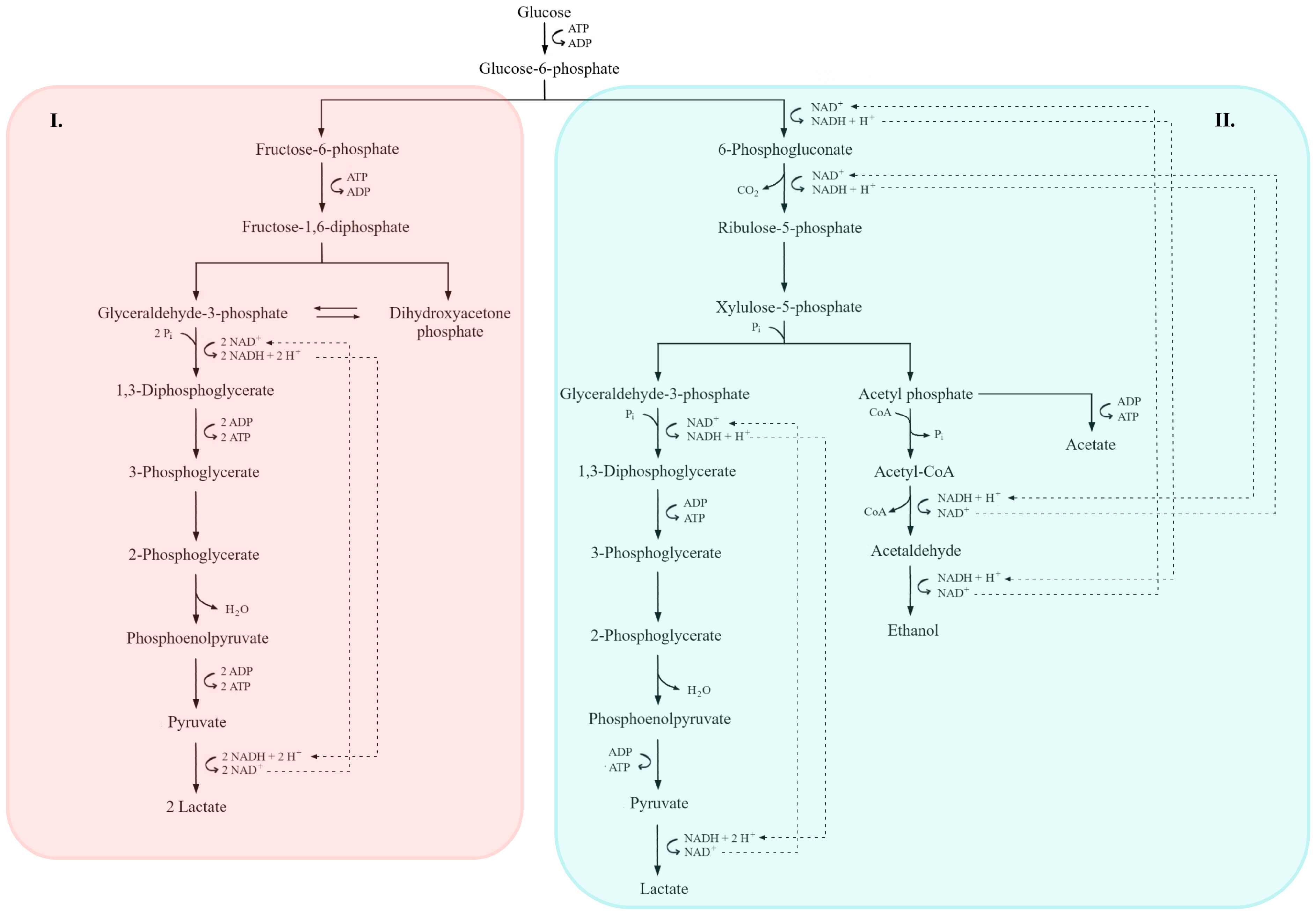 Molecules 31 00333 g004