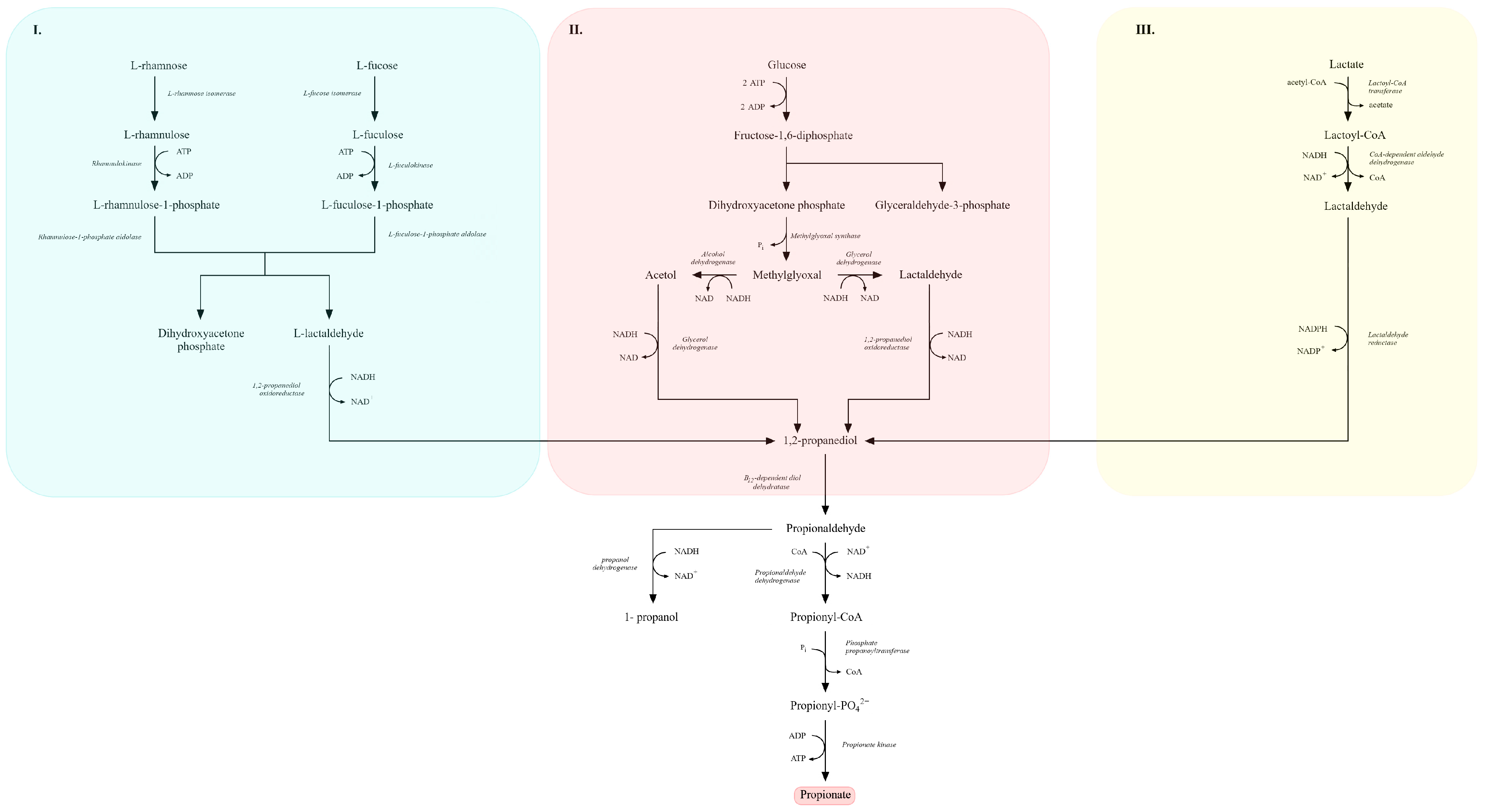 Molecules 31 00333 g007