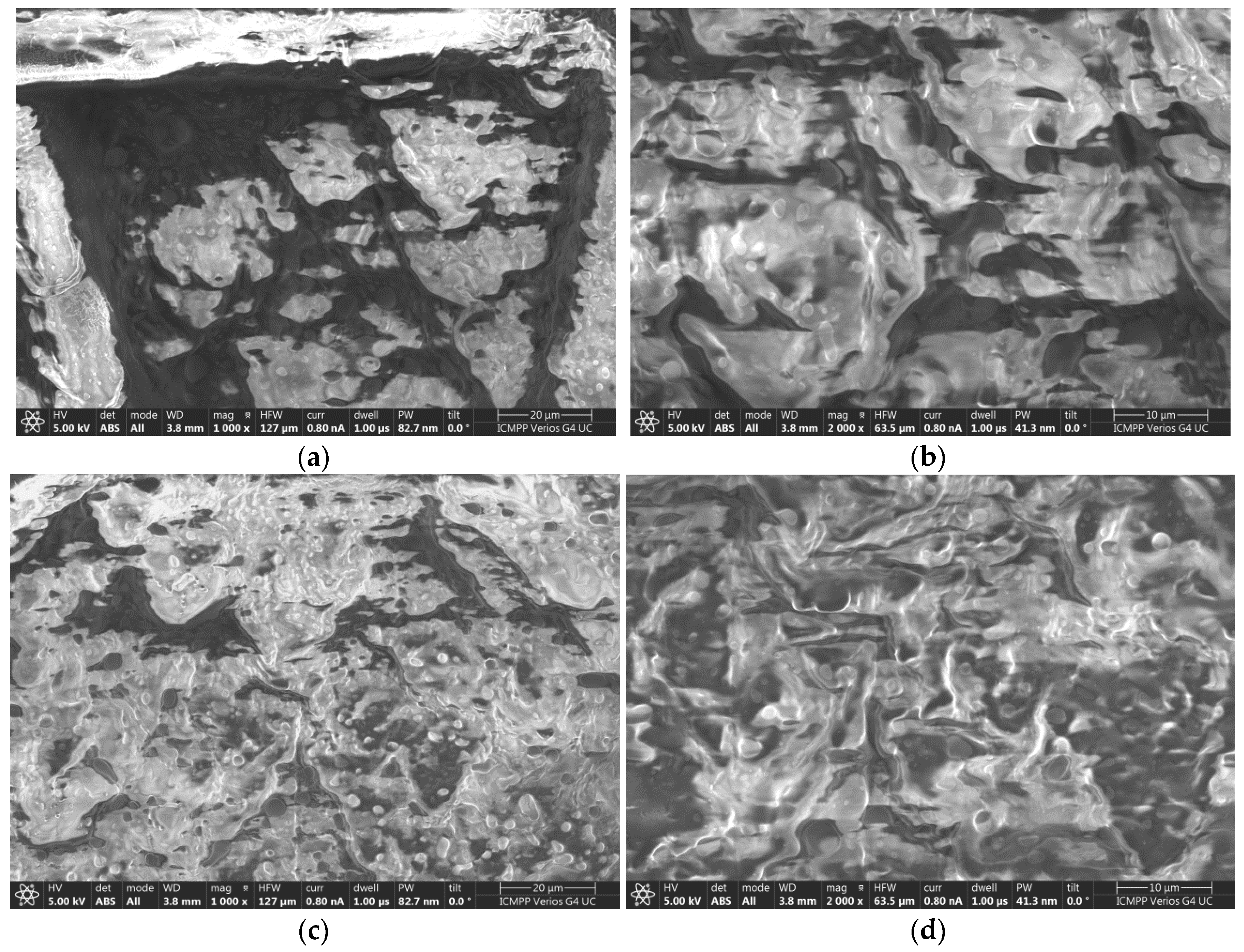 Molecules 31 00335 g010