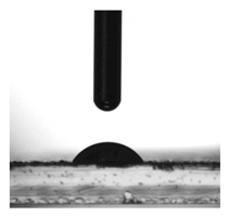 Molecules 31 00335 i002