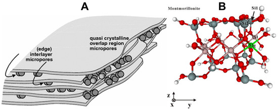 Molecules 31 00339 g005
