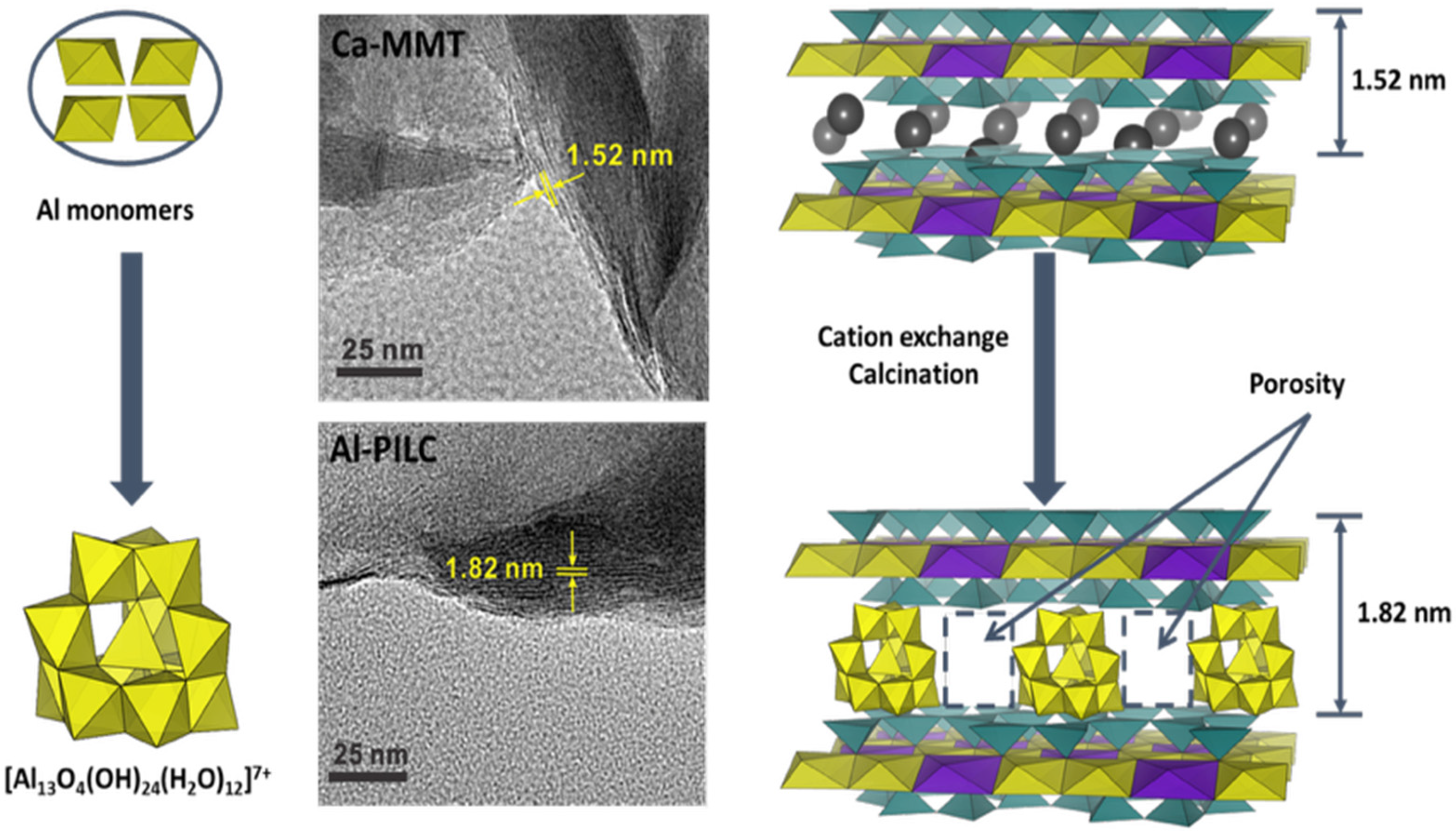 Molecules 31 00339 g007