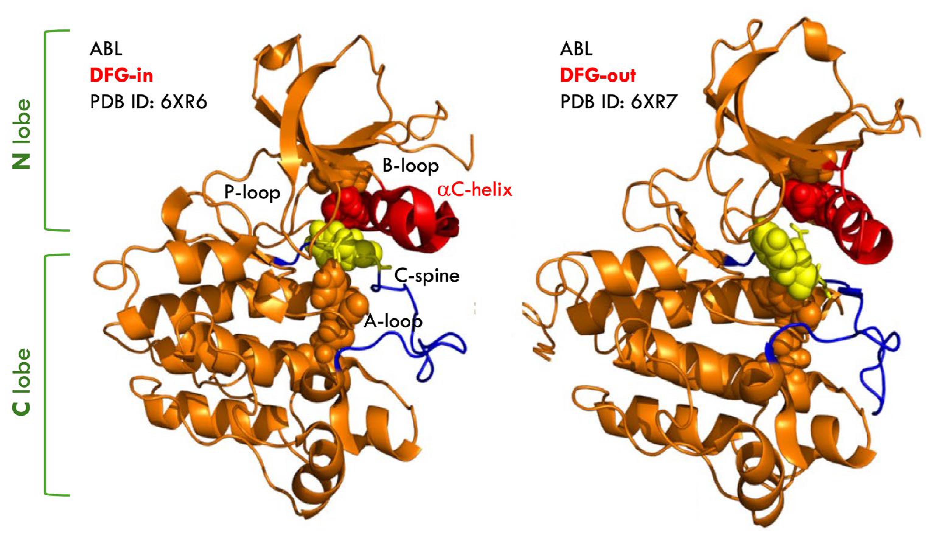 Molecules 31 00341 g003