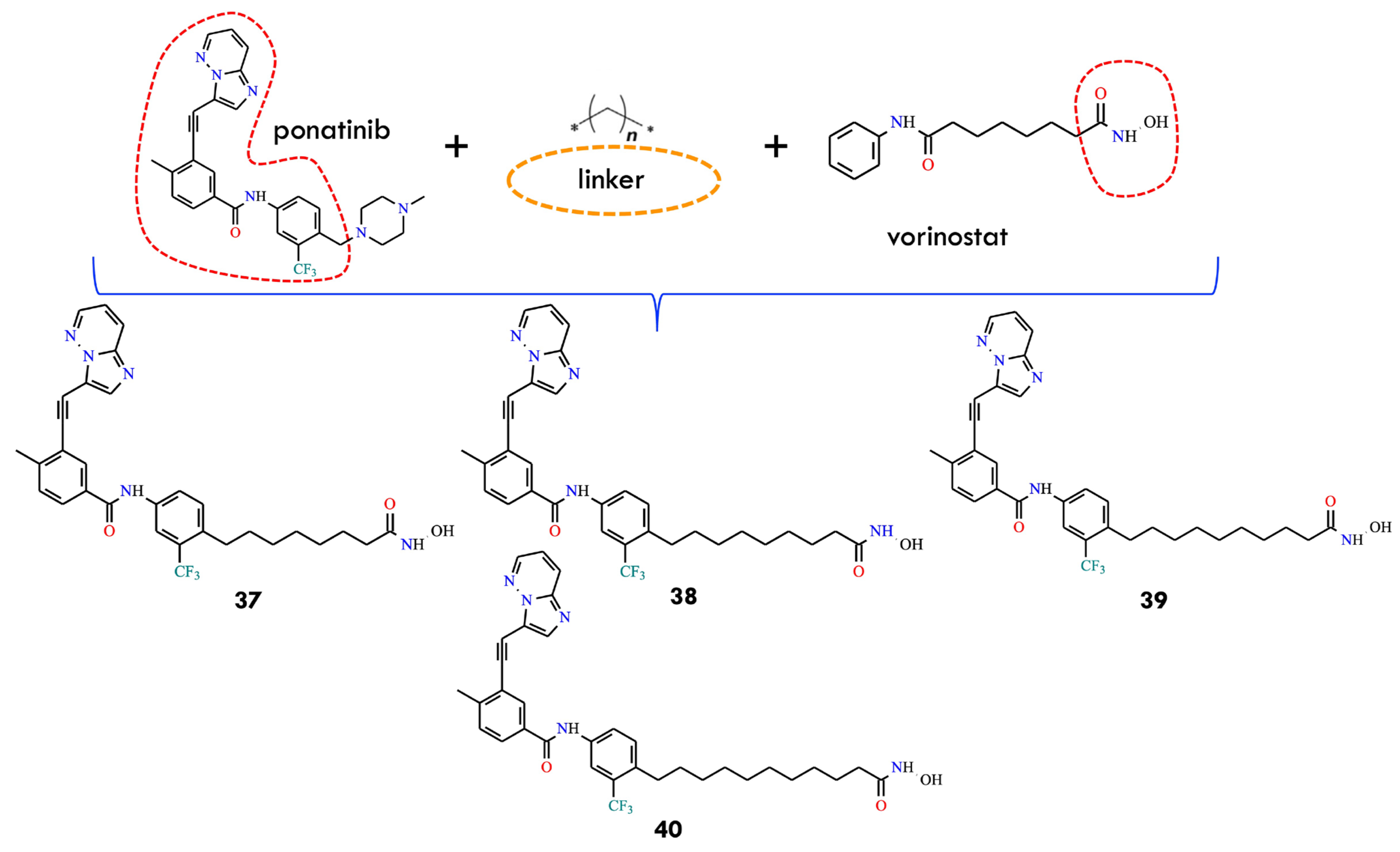 Molecules 31 00341 g017