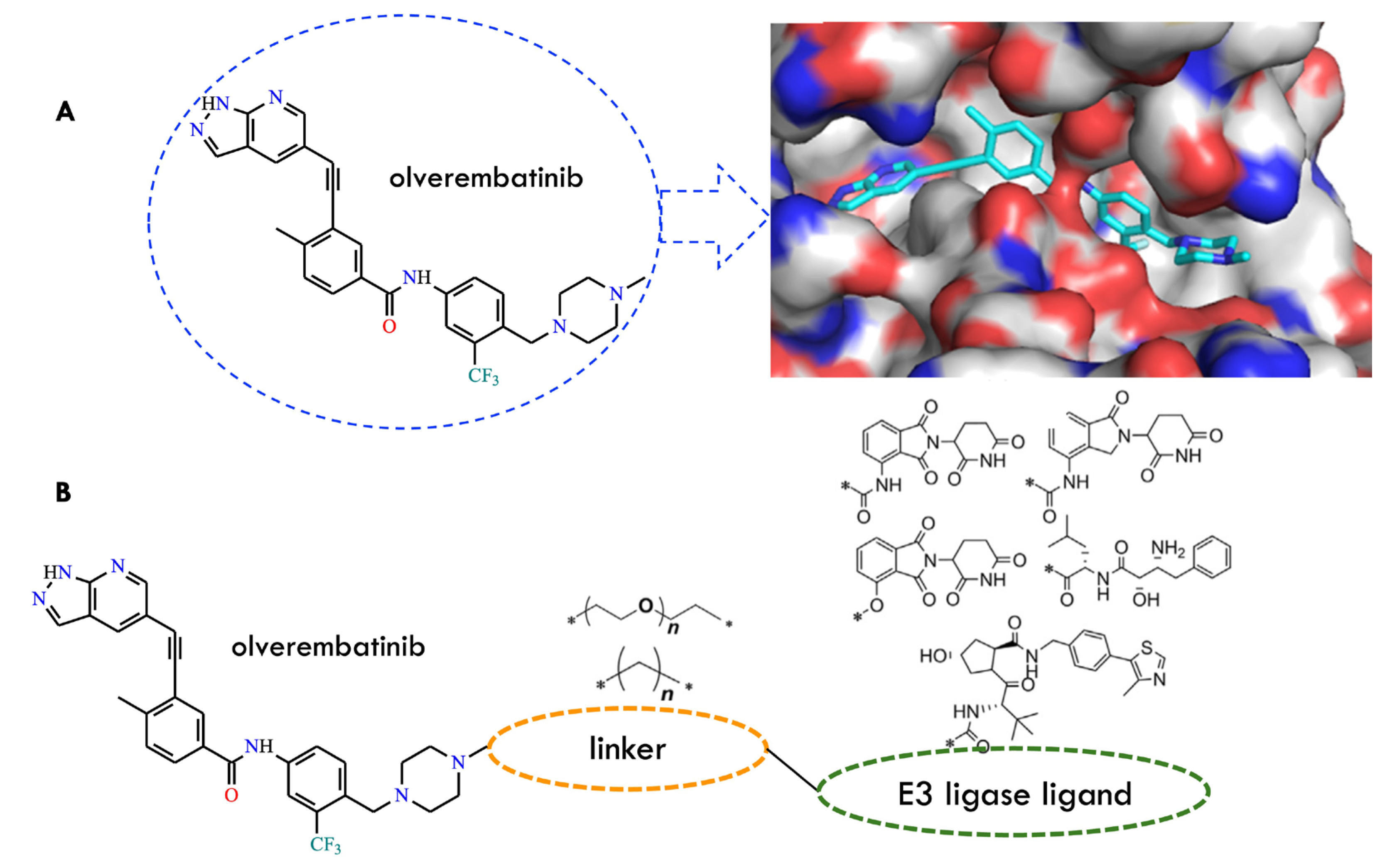 Molecules 31 00341 g018