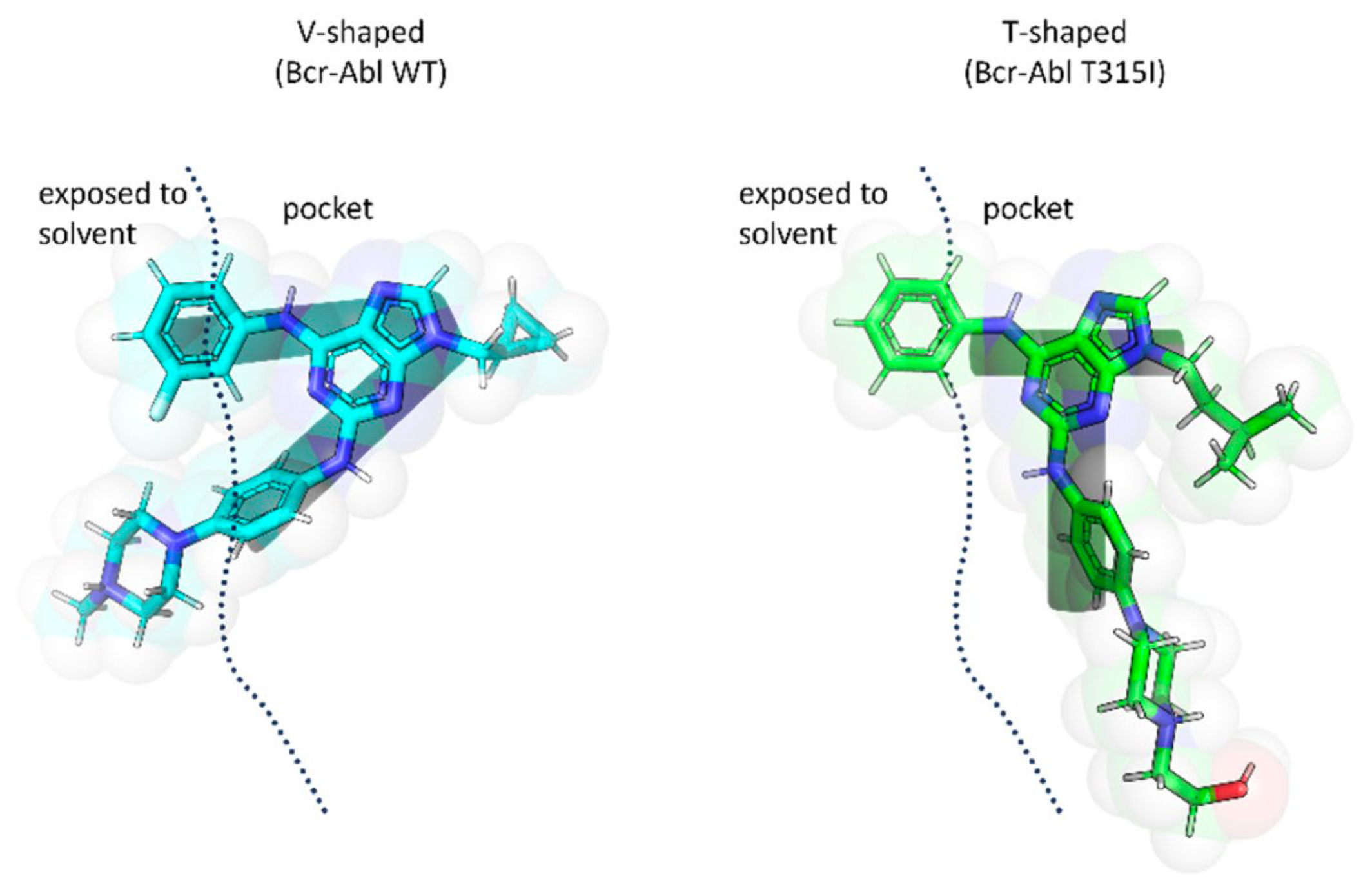 Molecules 31 00341 g026