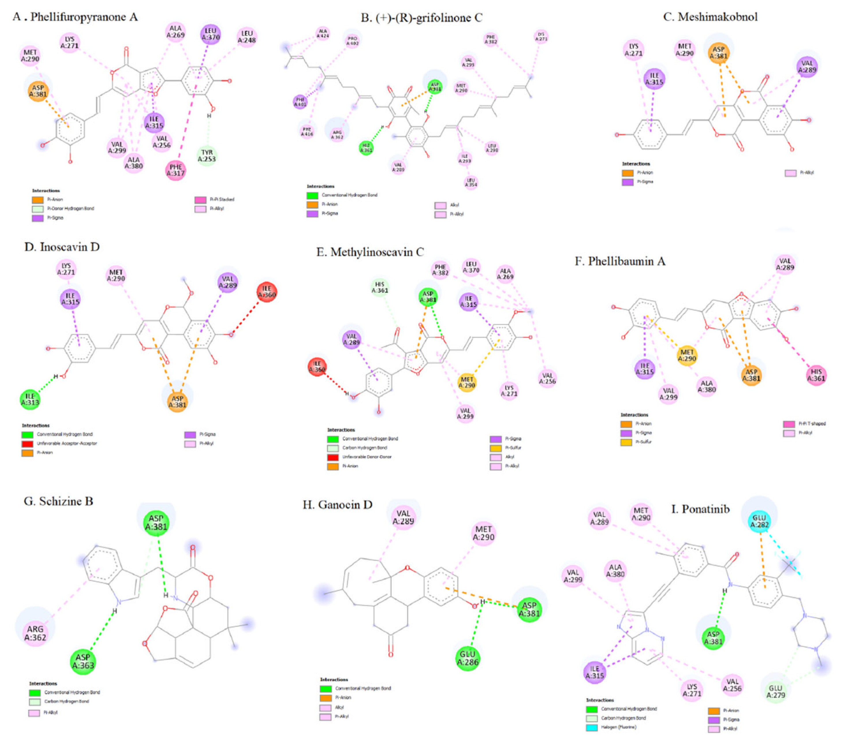 Molecules 31 00341 g032