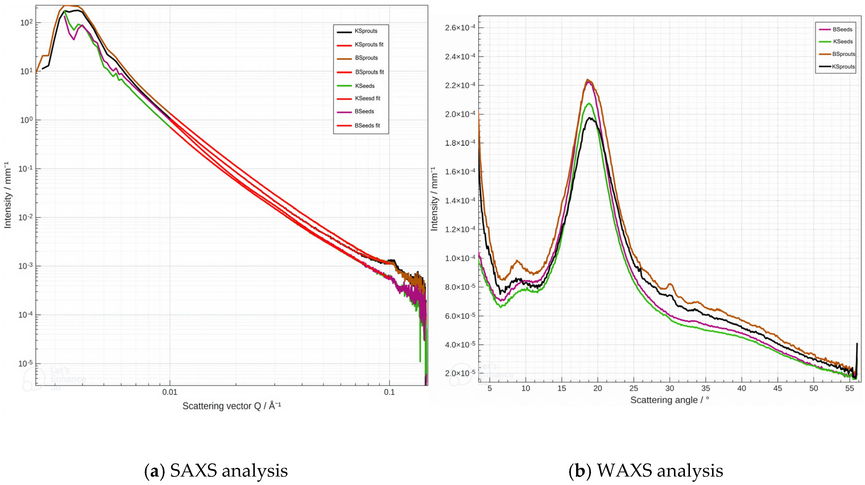 Molecules 31 00350 g009 Molecules 31 00350 g009