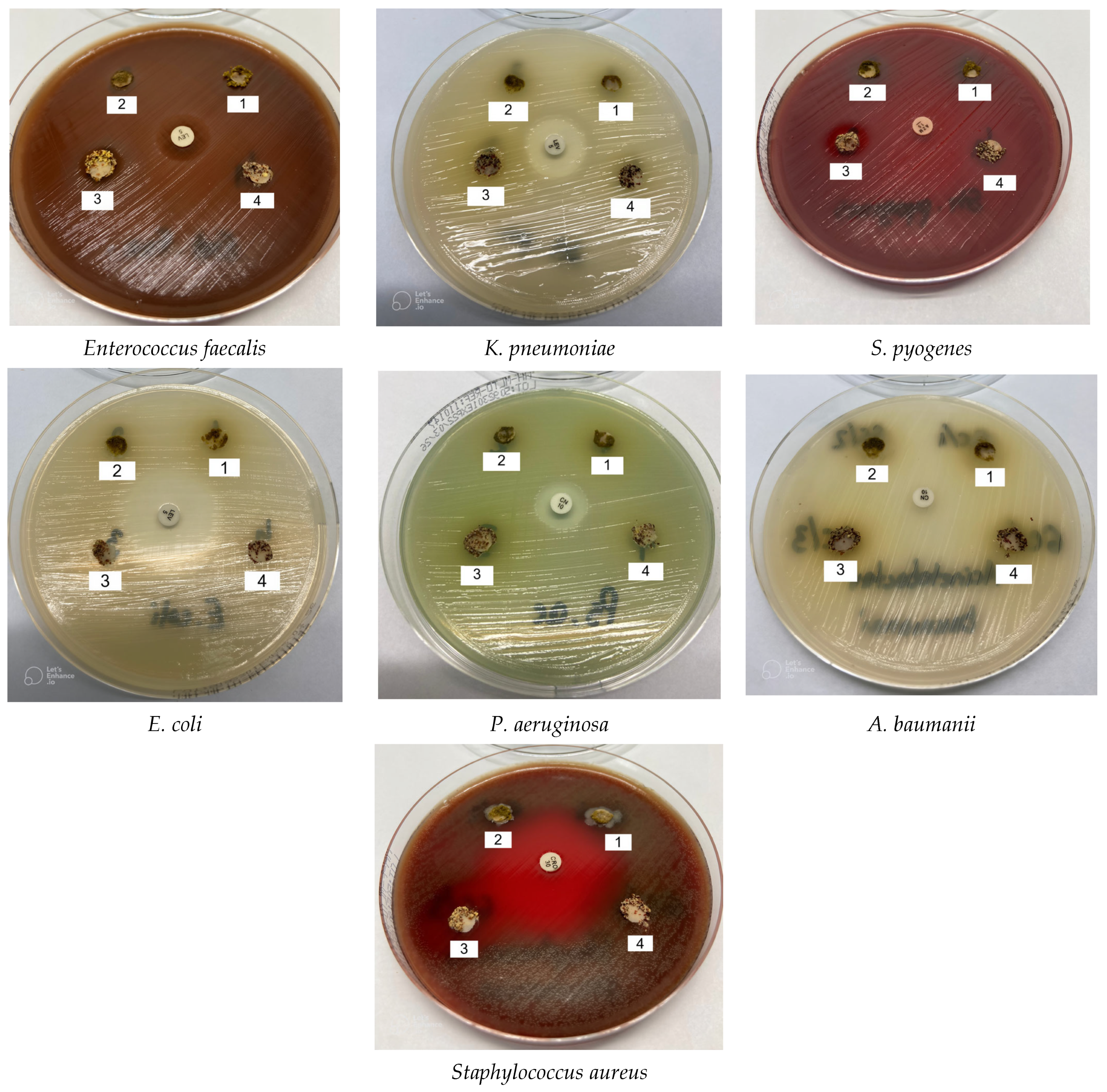 Molecules 31 00350 g010 Molecules 31 00350 g010