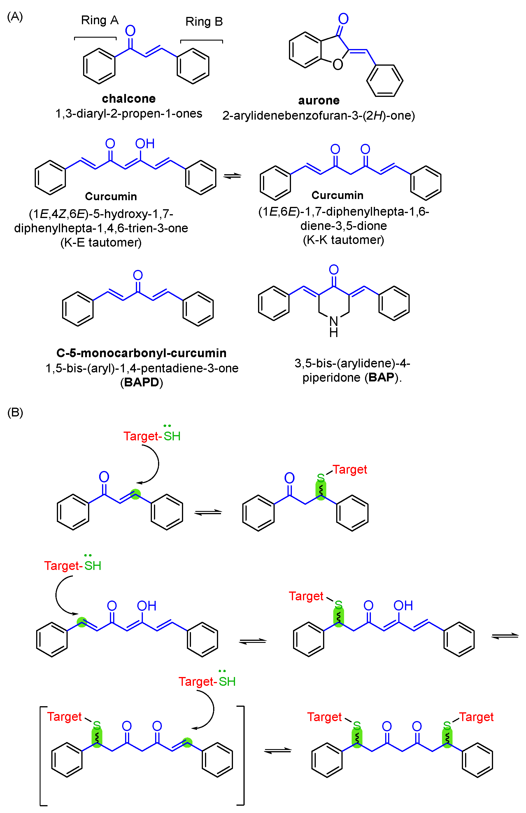 Molecules 31 00355 g001