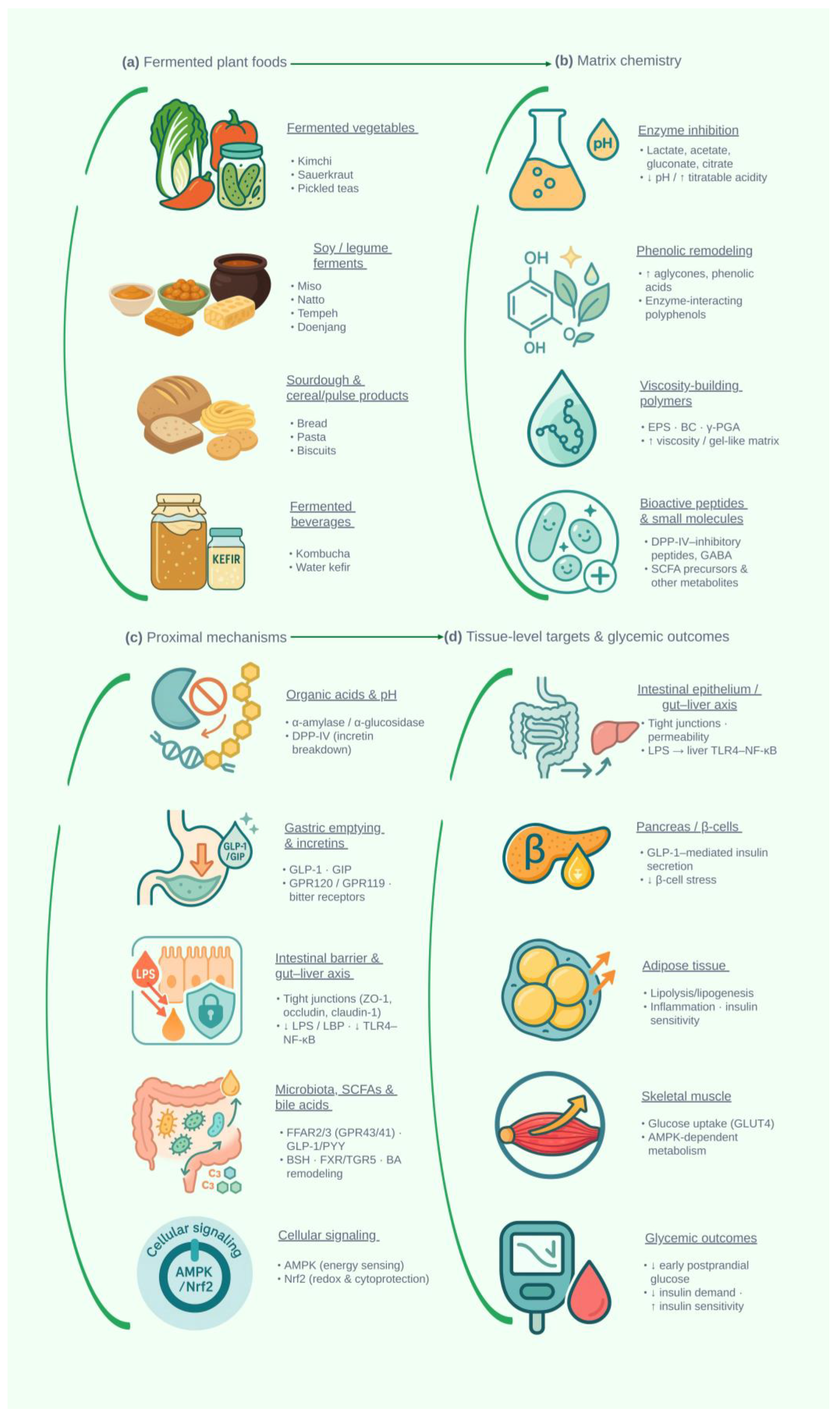 Molecules 31 00360 g001