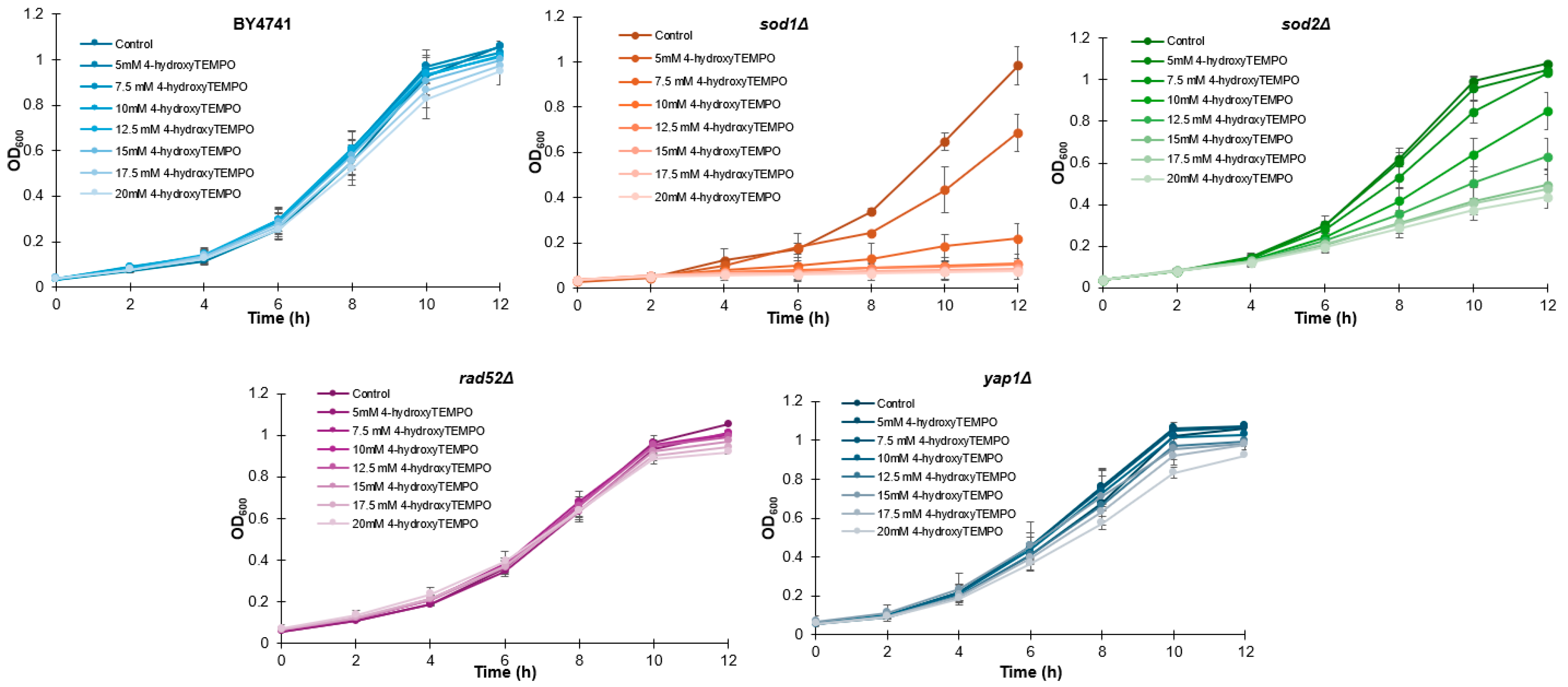 Molecules 31 00376 g001