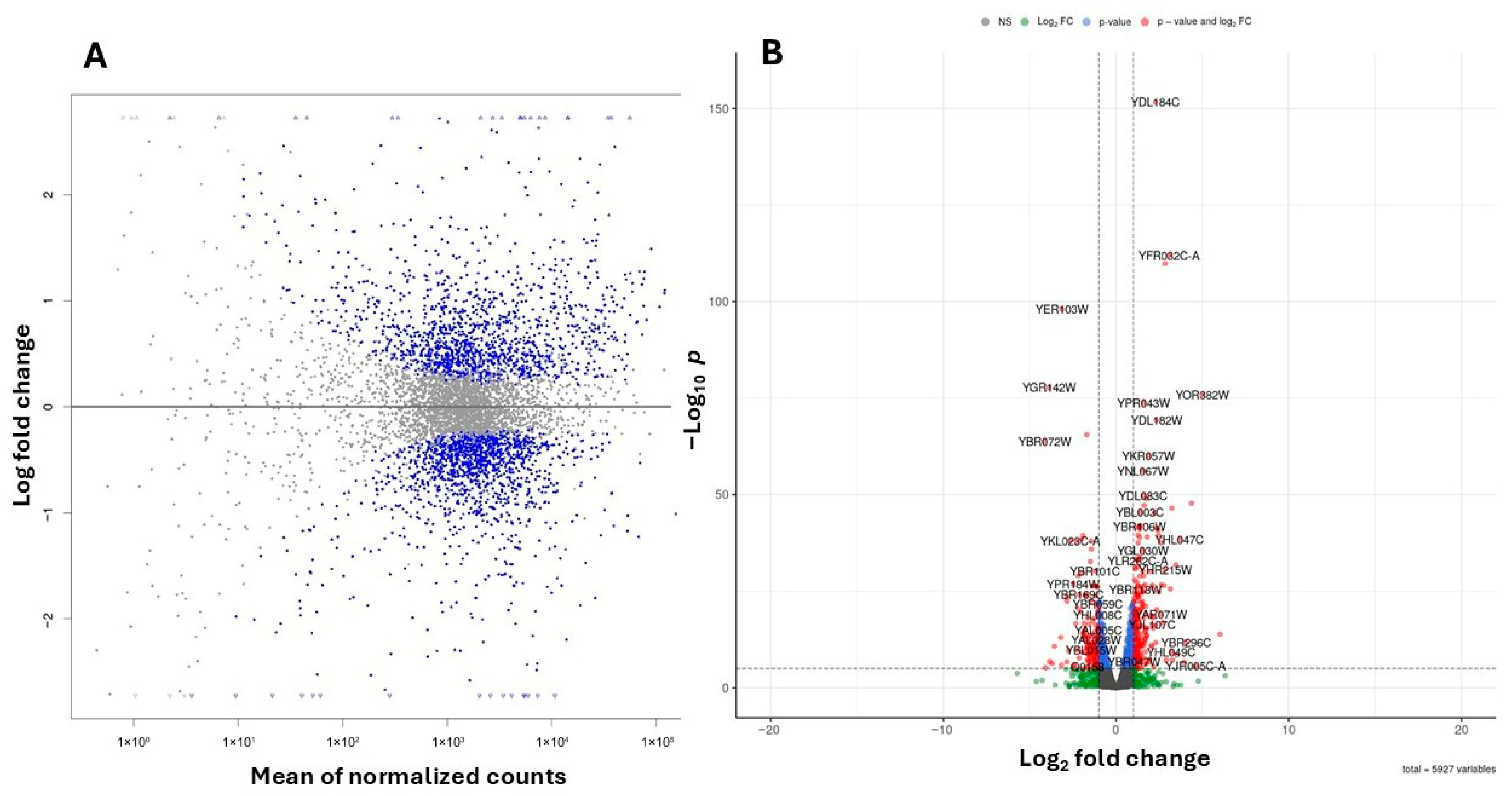Molecules 31 00376 g006